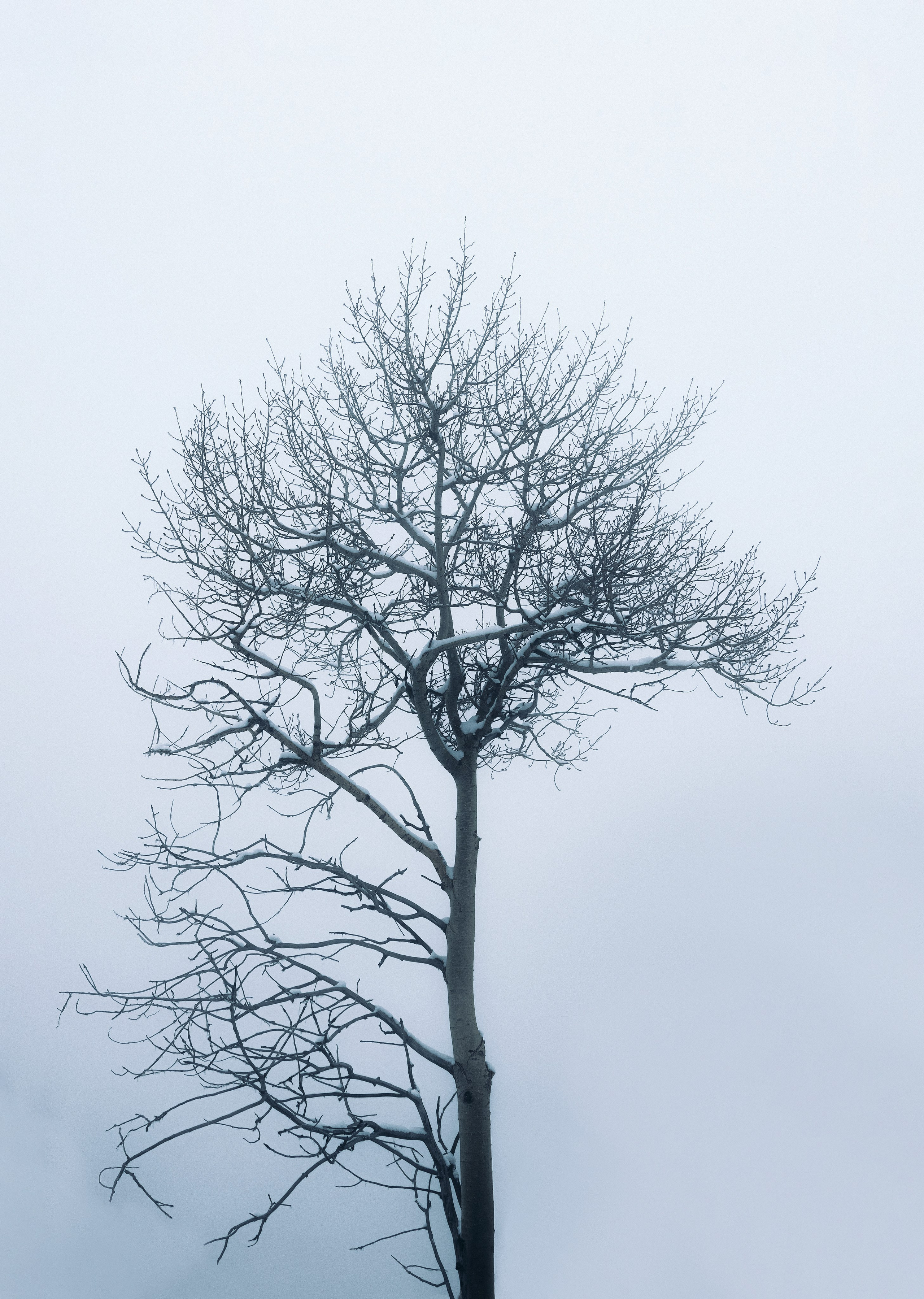 Жизнь. Фотограф Алматы | Весь мир — Никита Колодин