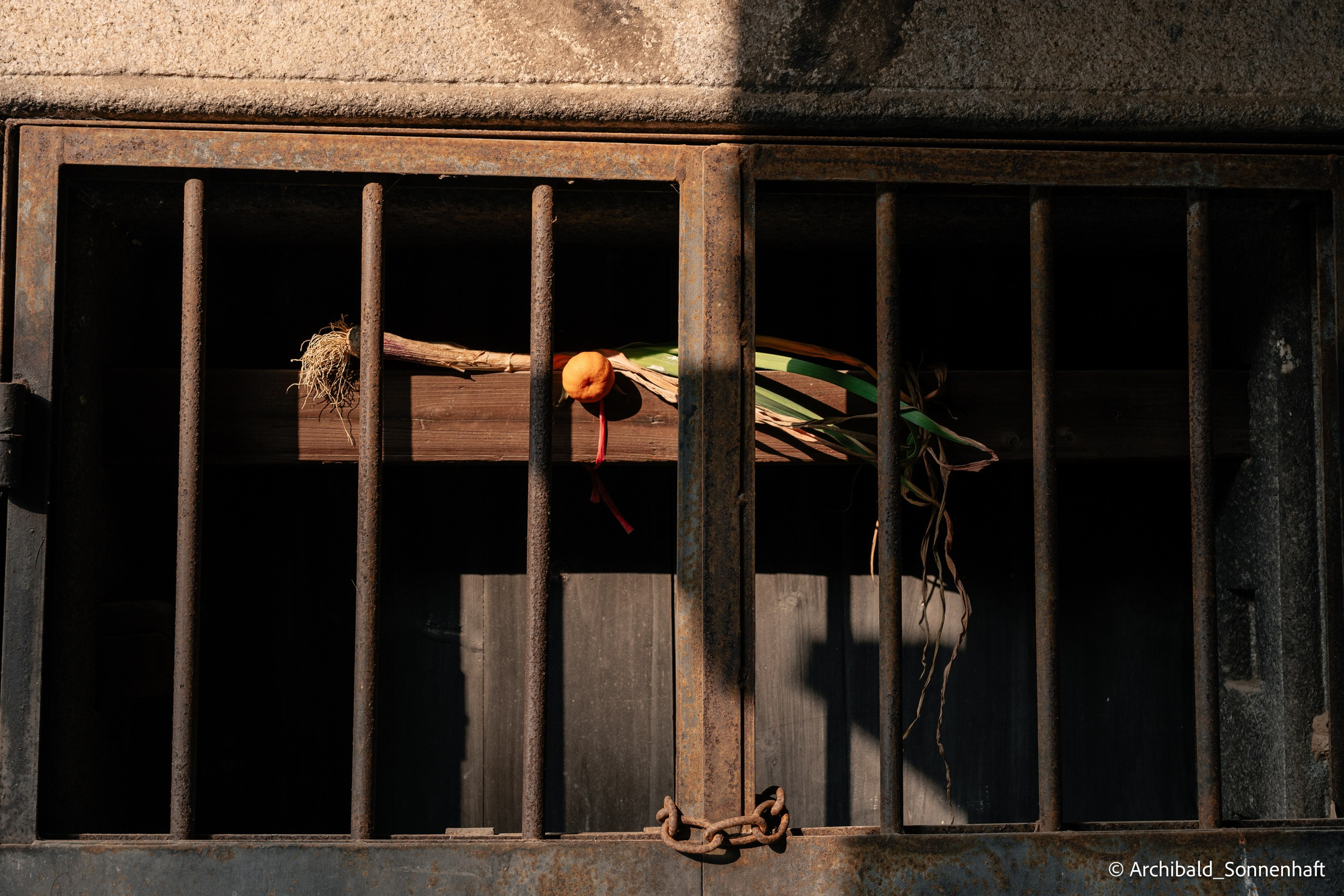 Diaolou in Kaiping. Photographer in Guangzhou, China. Archibald Sonnenhaft