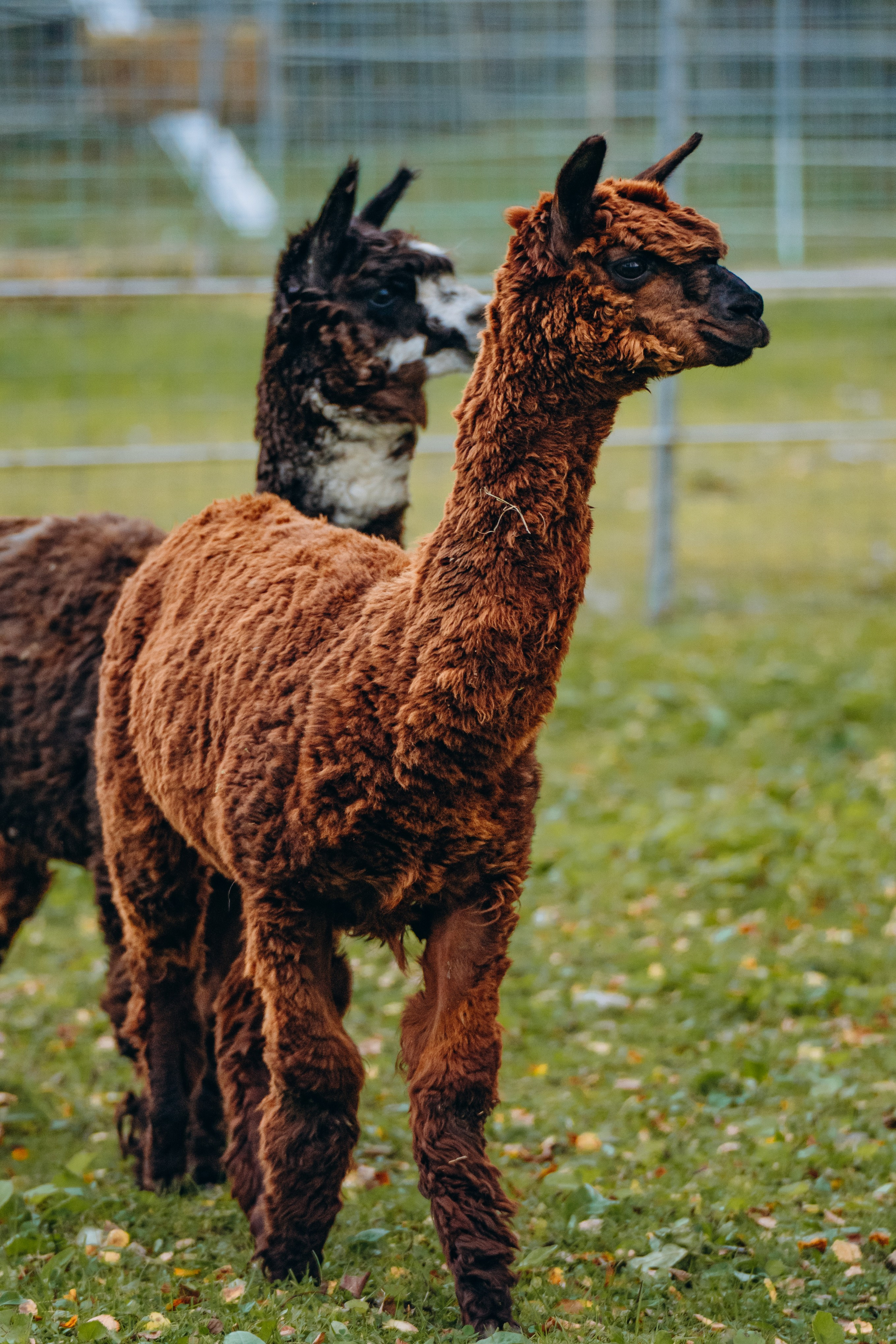 СЕВЕР. Event фотограф Степанова Александра