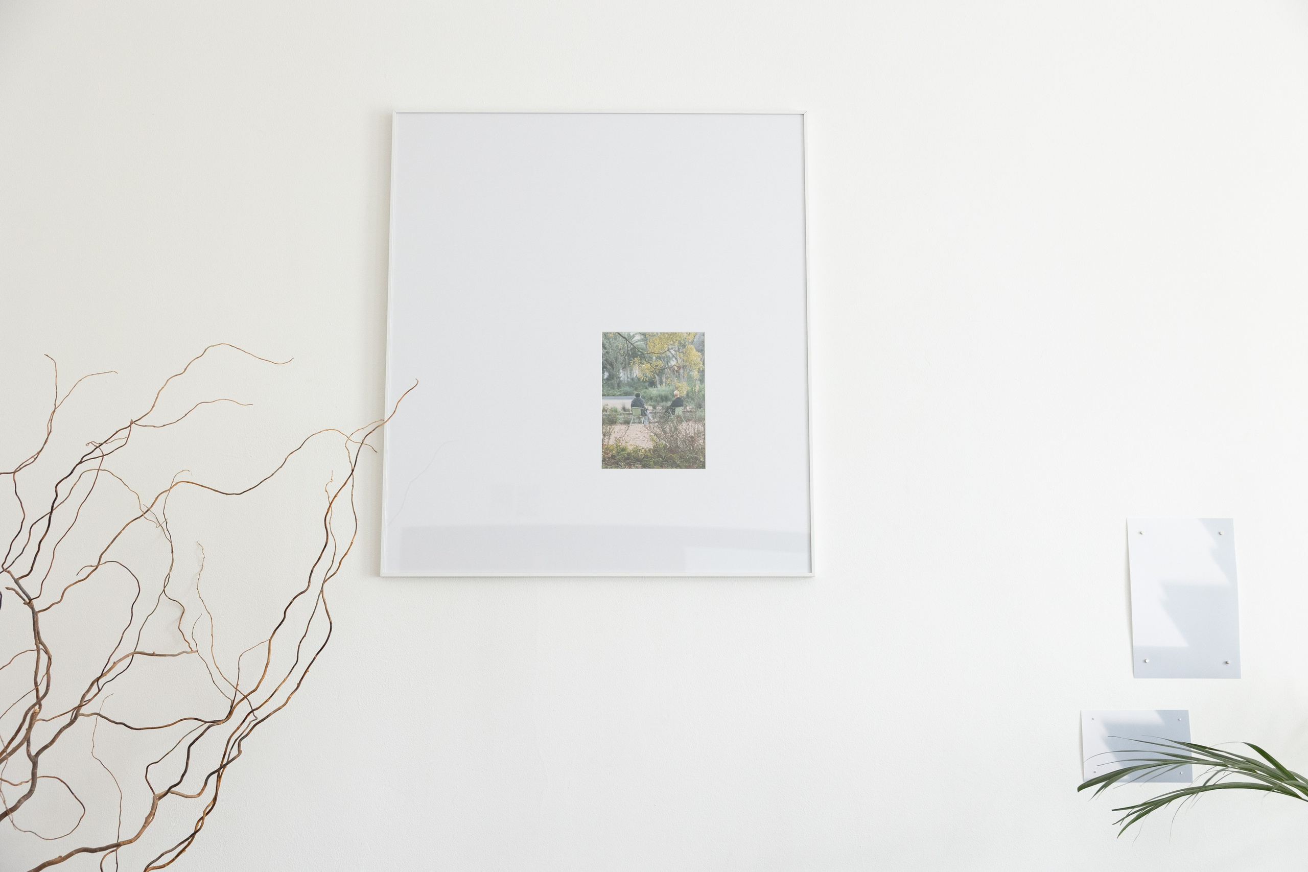 Personal exhibition Interior landscape 2025. Фотограф алина стерхова, алина стерхова фотограф, фотограф москва