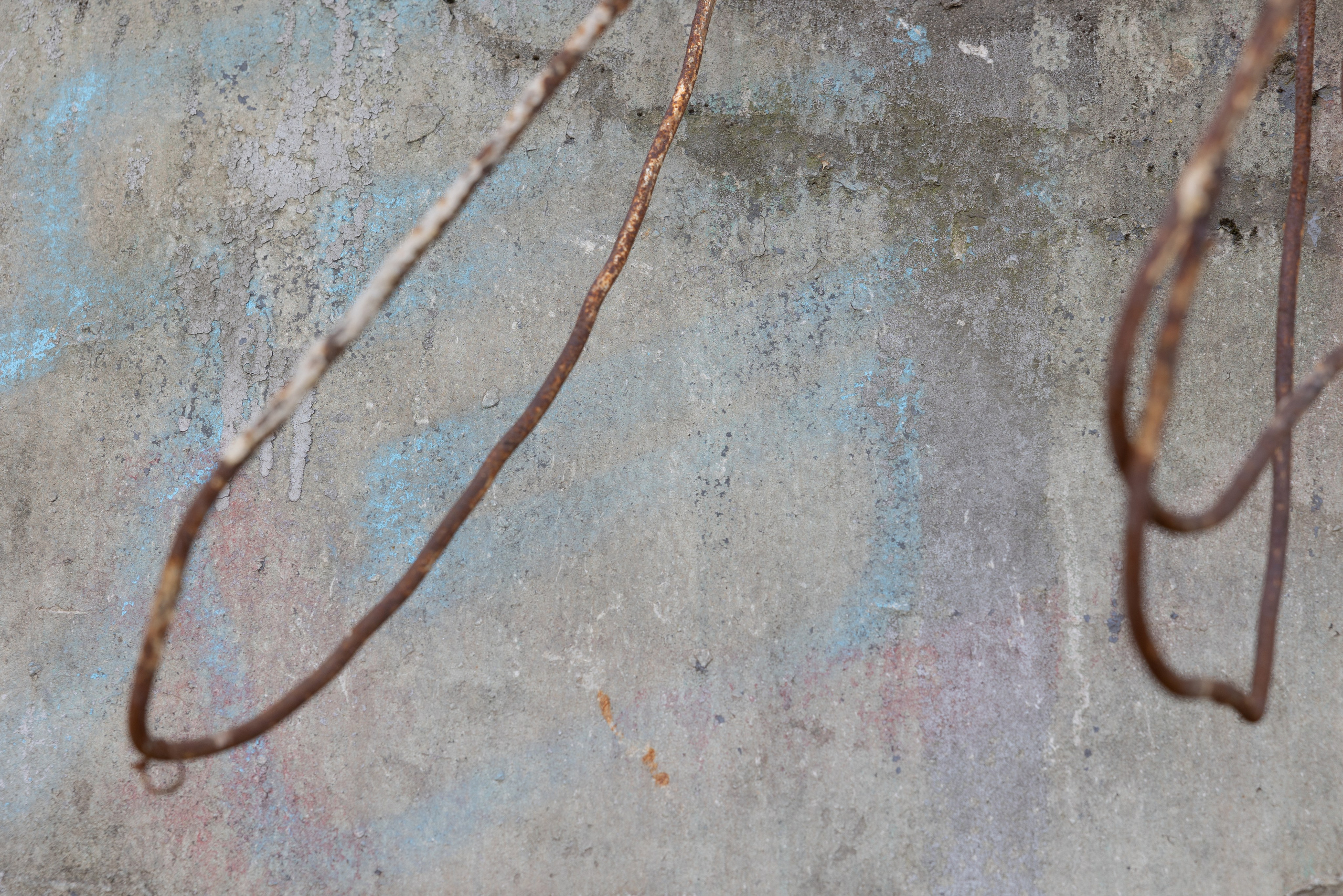 Art prints. Фотограф алина стерхова, алина стерхова фотограф, фотограф москва