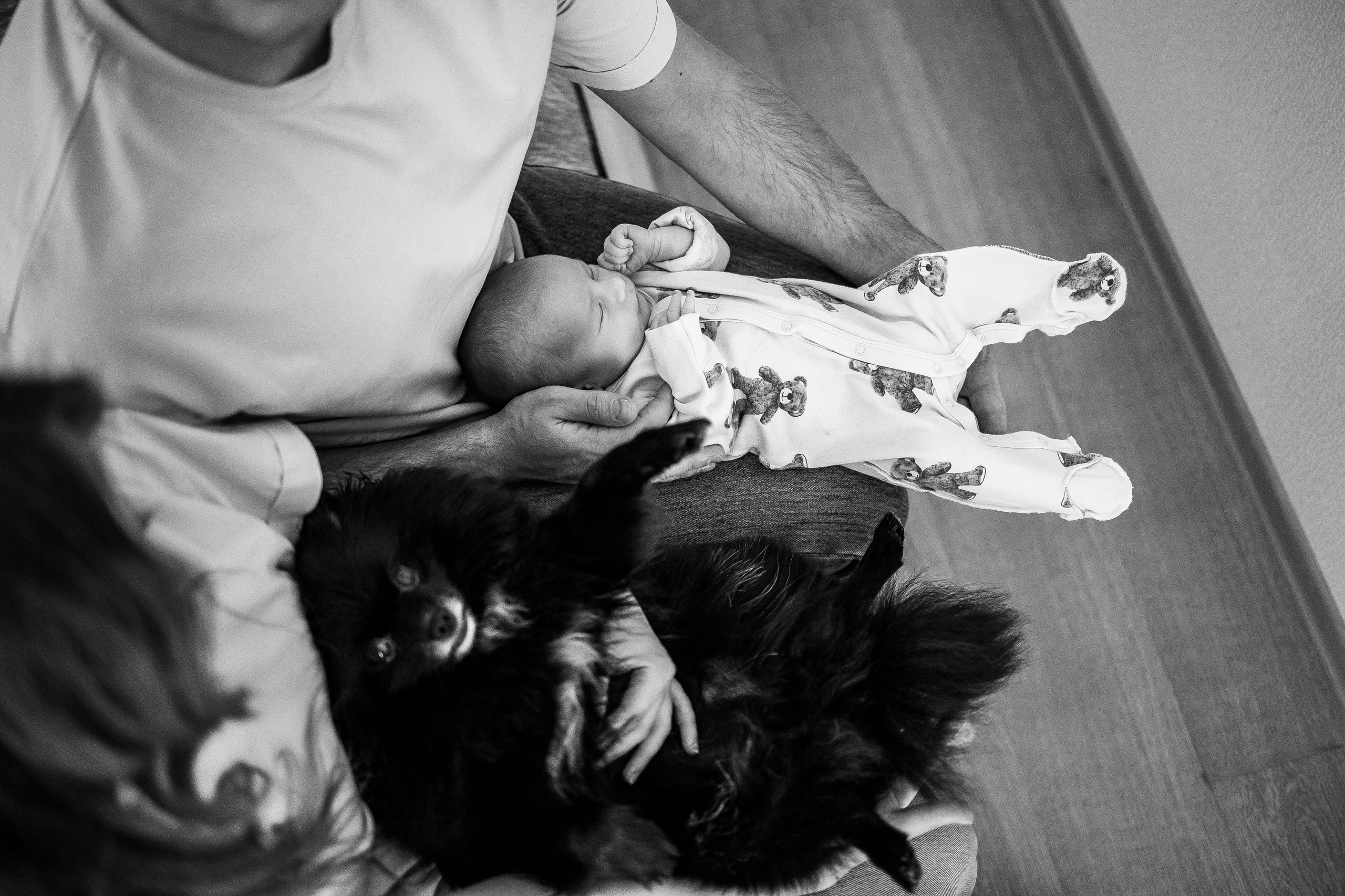 СЕМЬИ. Свадебный фотограф Санкт-Петербург Катерина Ширяева