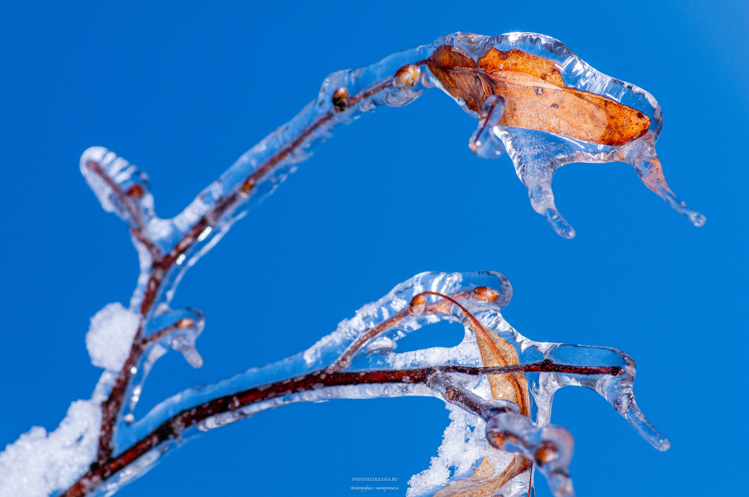 Осязаемая красота. Авторские стильные фотокартины