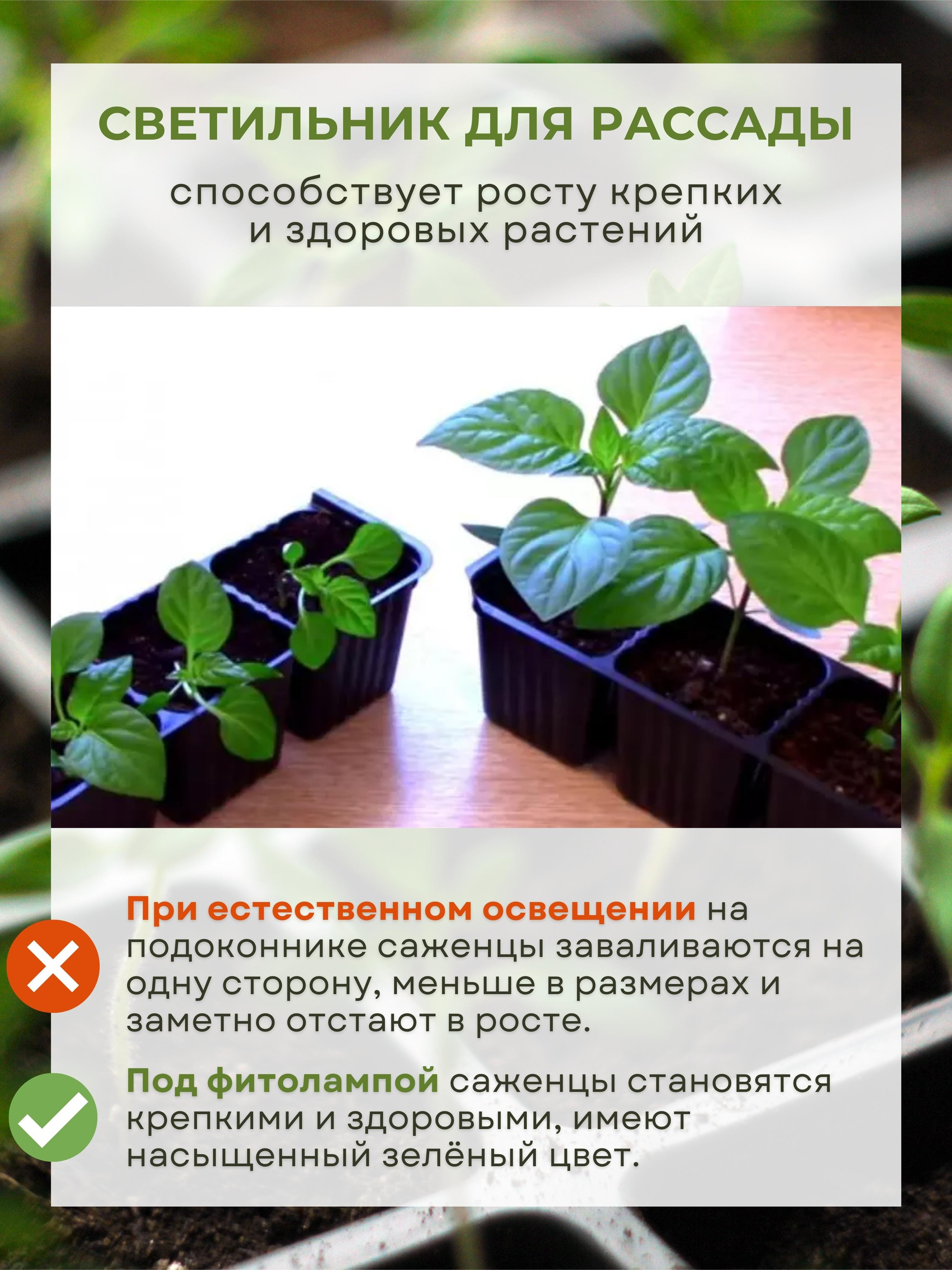 Инфографика для маркетплейсов: фитолампа. Маркетолог в Москве, специалист по коммуникациям и рекламе Аня Смоляга