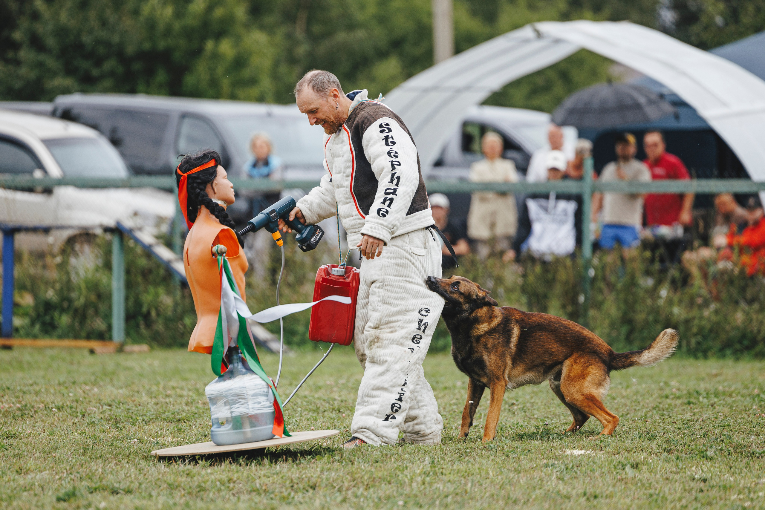 08.08.25-10.08.25 ЧР по мондьорингу г. Вологда. Фотограф-анималист Анна Маринич