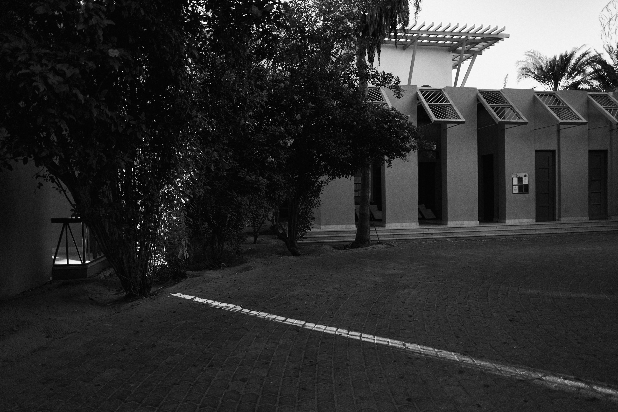 Другое 3. Jorgis Talè — photographer, kind person, teacher of arts and other mag