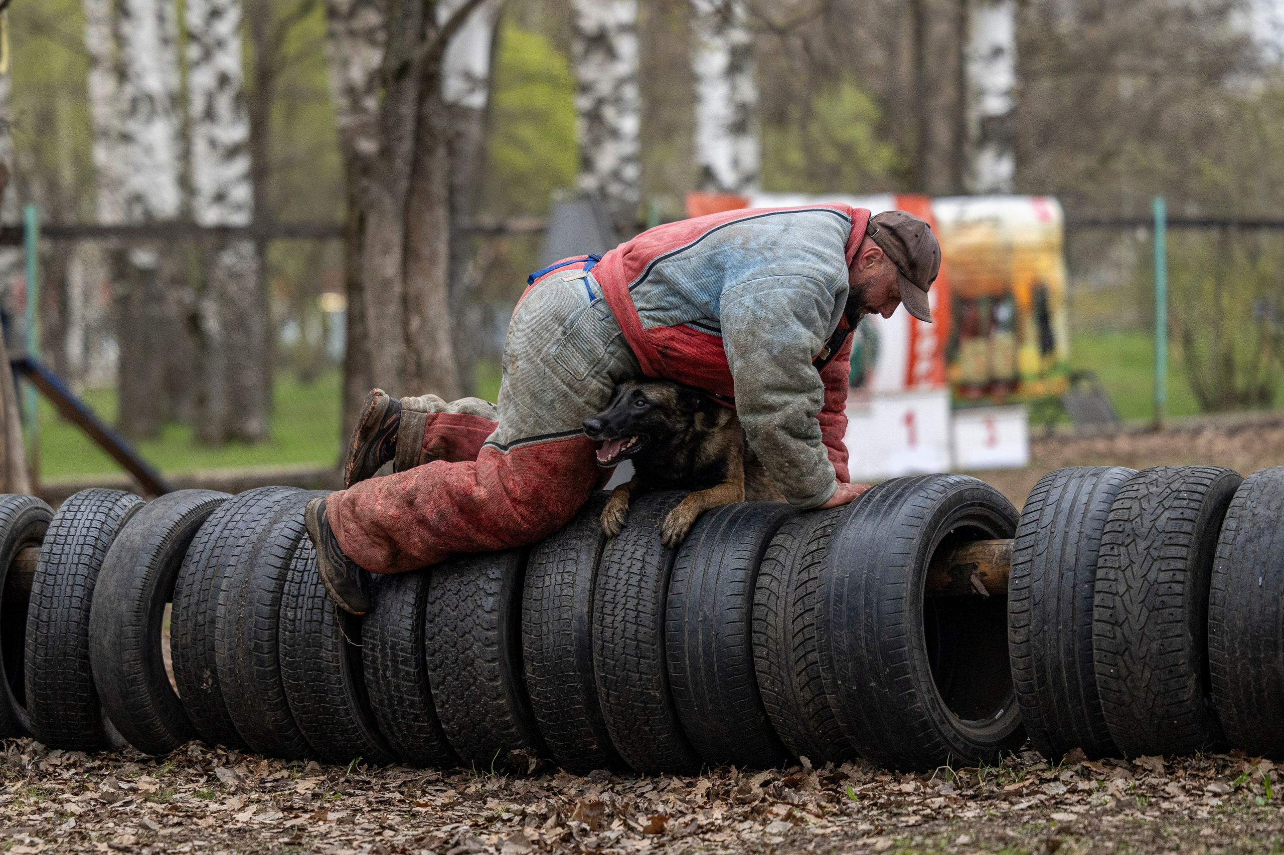 Квалификационные состязания по мондьорингу г. Вологда 11.05.24. Фотограф-анималист Анна Маринич