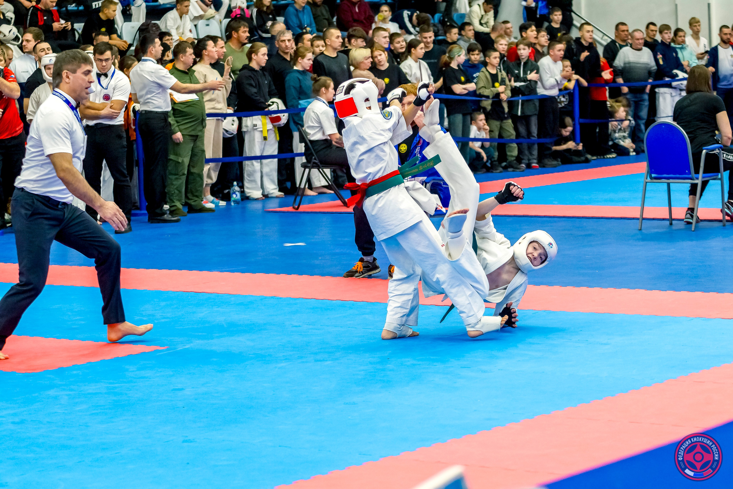 Международный турнир по киокушин «Открытый кубок Seiken». Репортажная съемка в Москве и области. Анималистика