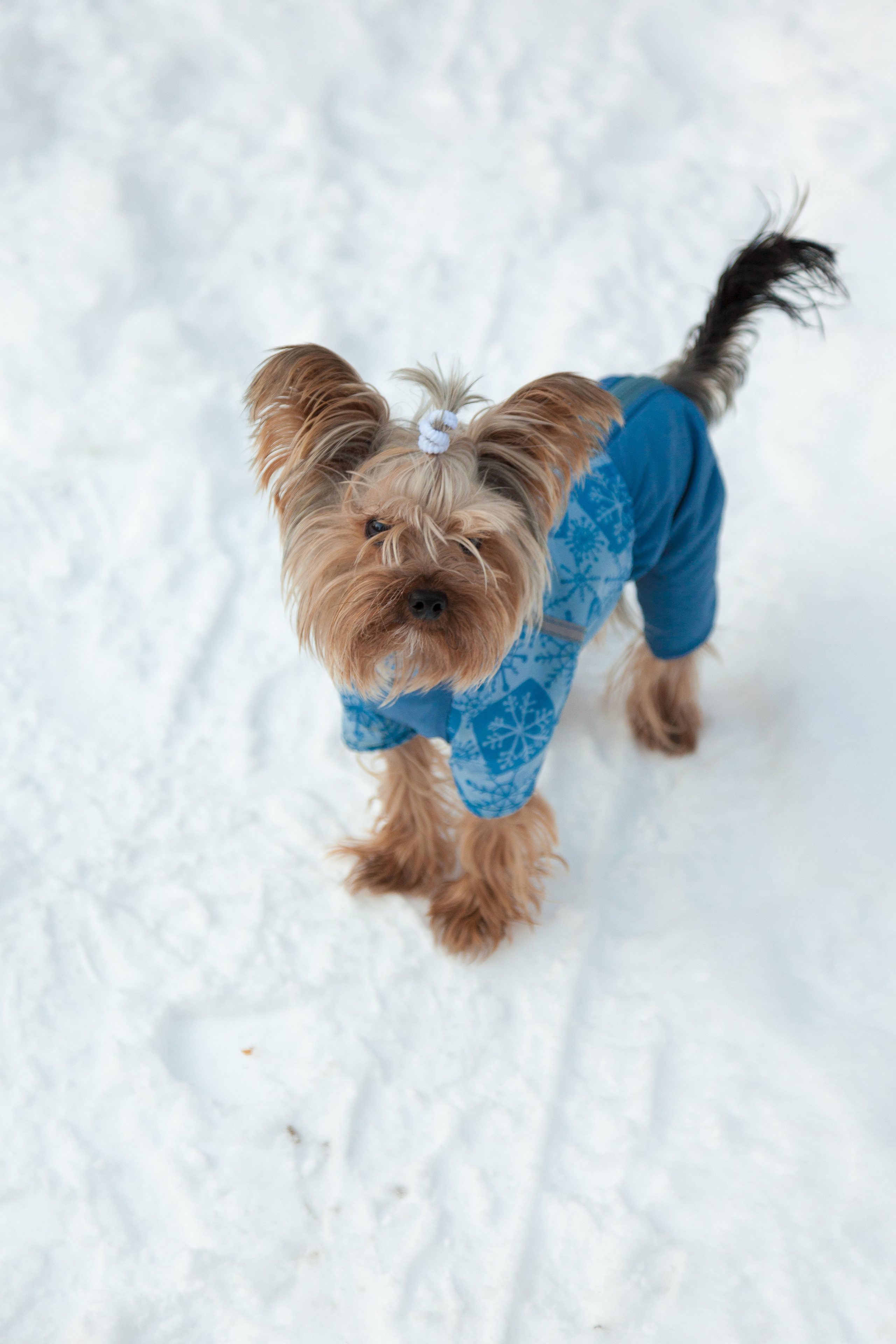 Зимние съёмки. Фотограф Татьяна Воронова, Детские и Семейные фото