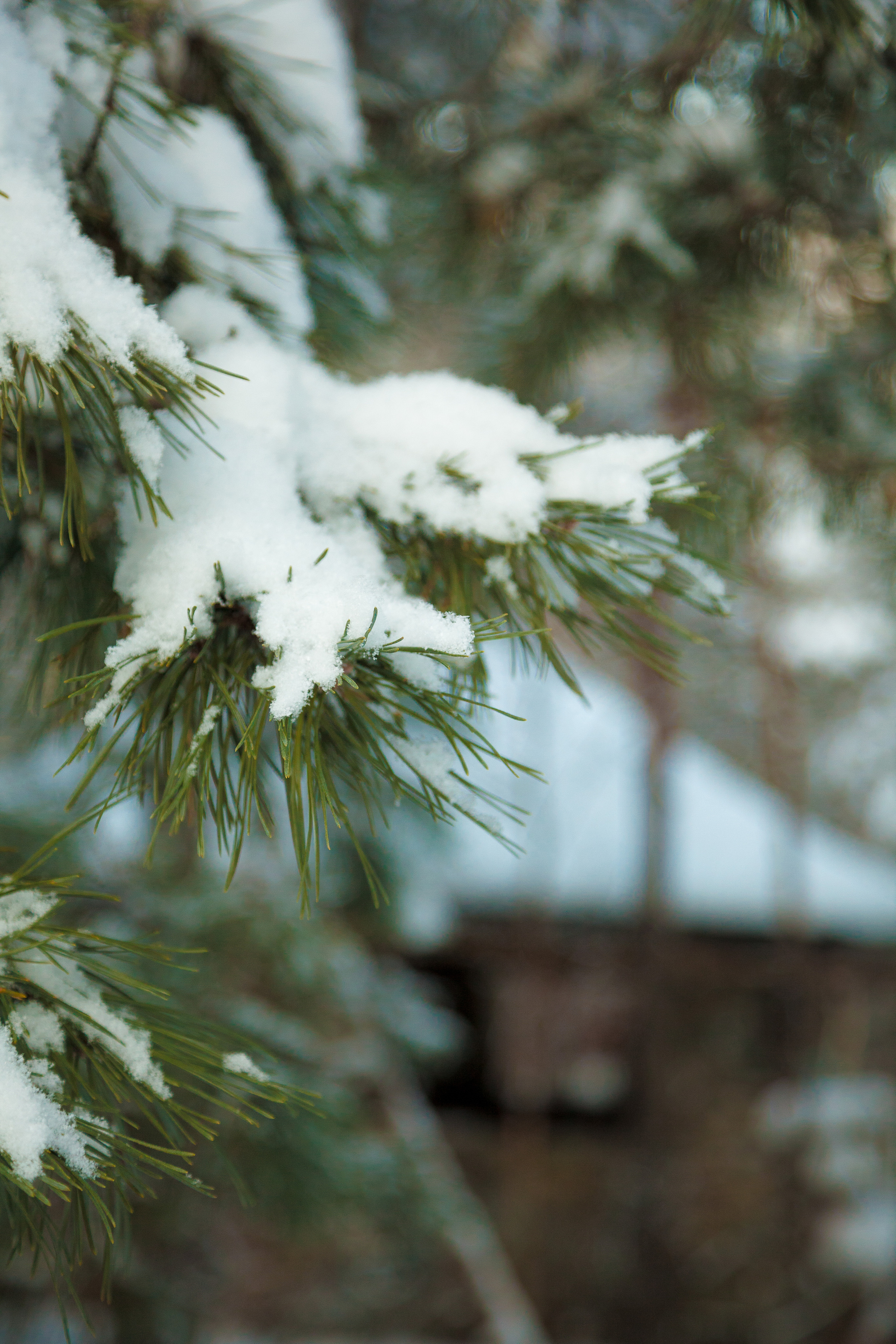 Зимние съёмки. Фотограф Татьяна Воронова, Детские и Семейные фото