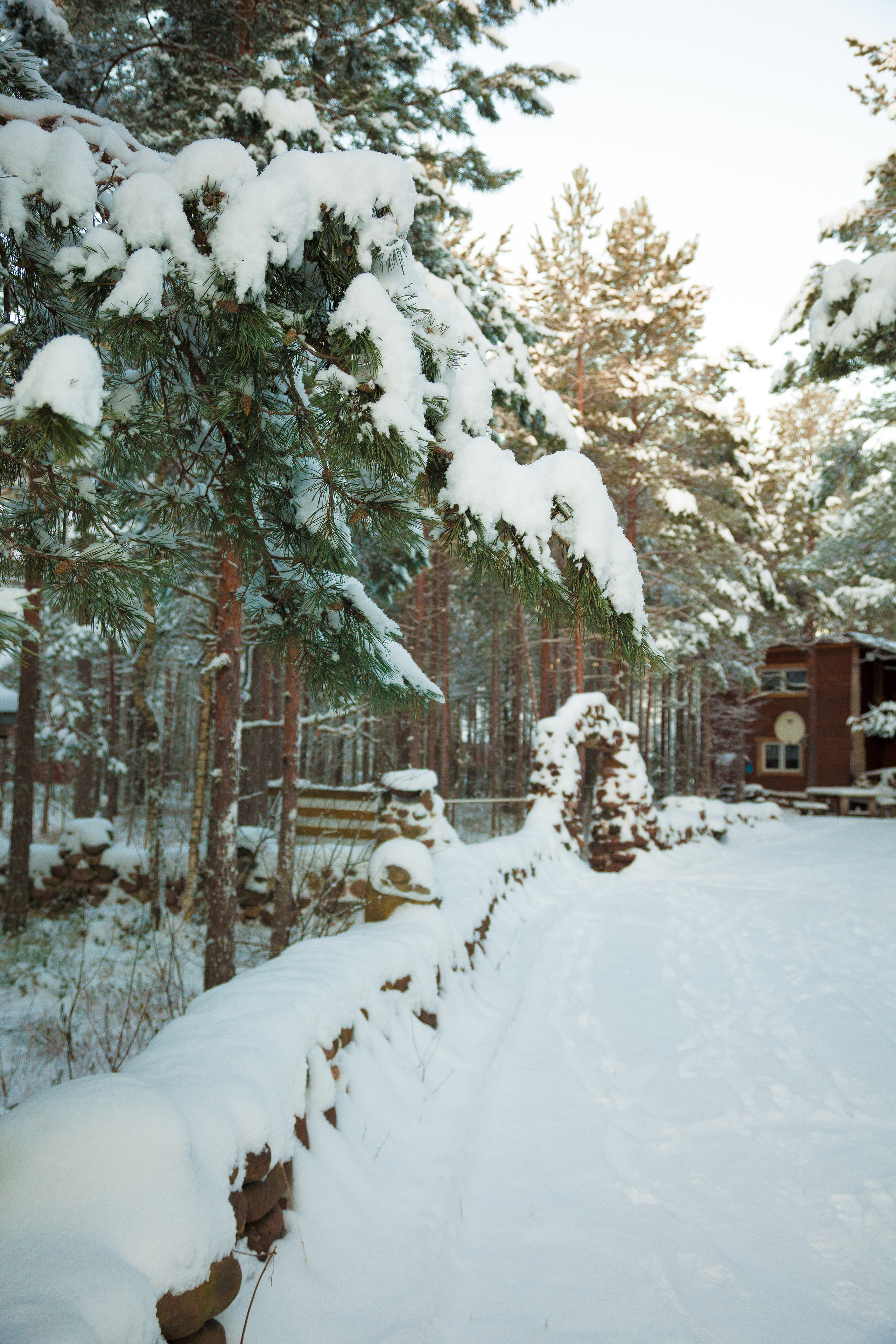 Зимние съёмки. Фотограф Татьяна Воронова, Детские и Семейные фото