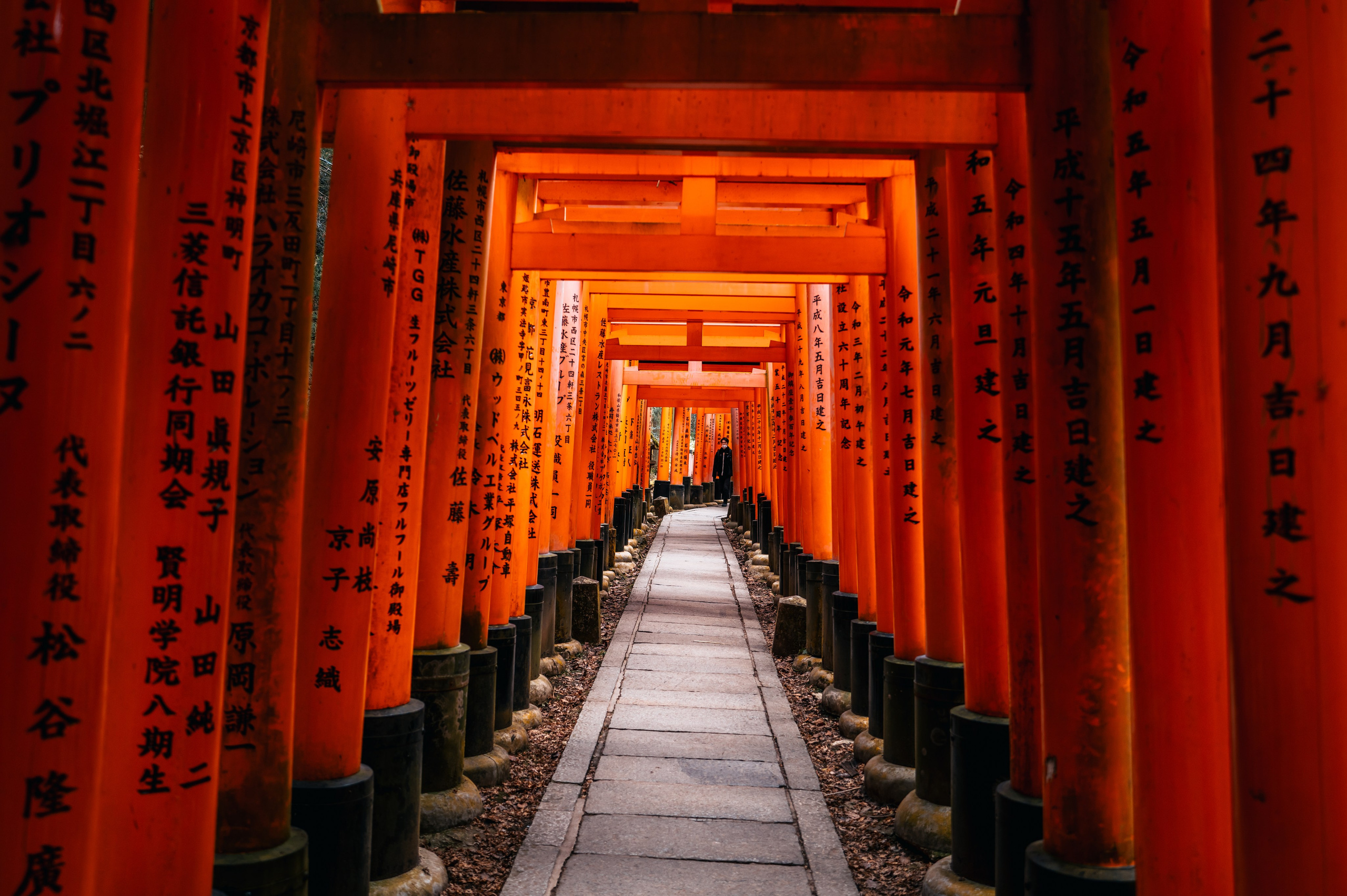 Japan/Япония. @tomrus: Рустам Шагиморданов — фотограф