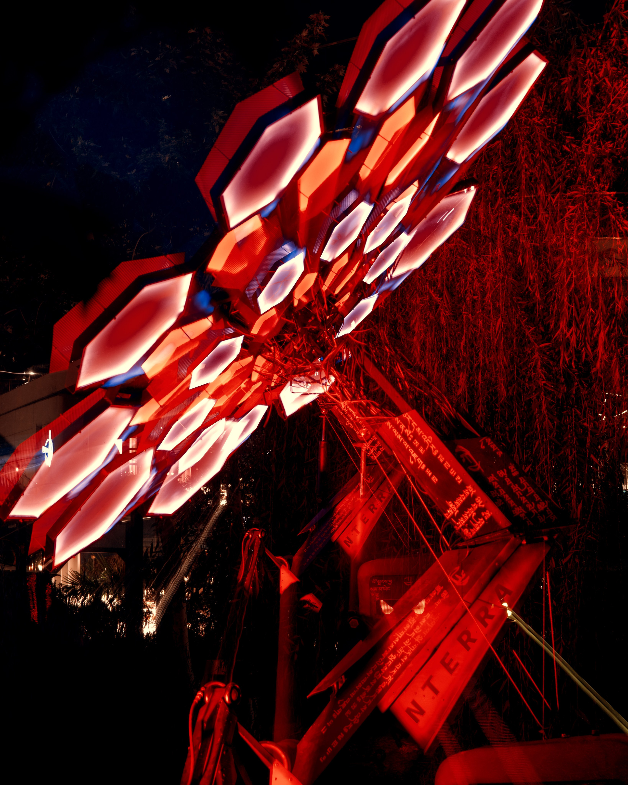 PANTERRA, Cyber Flower. @tomrus: Рустам Шагиморданов — фотограф