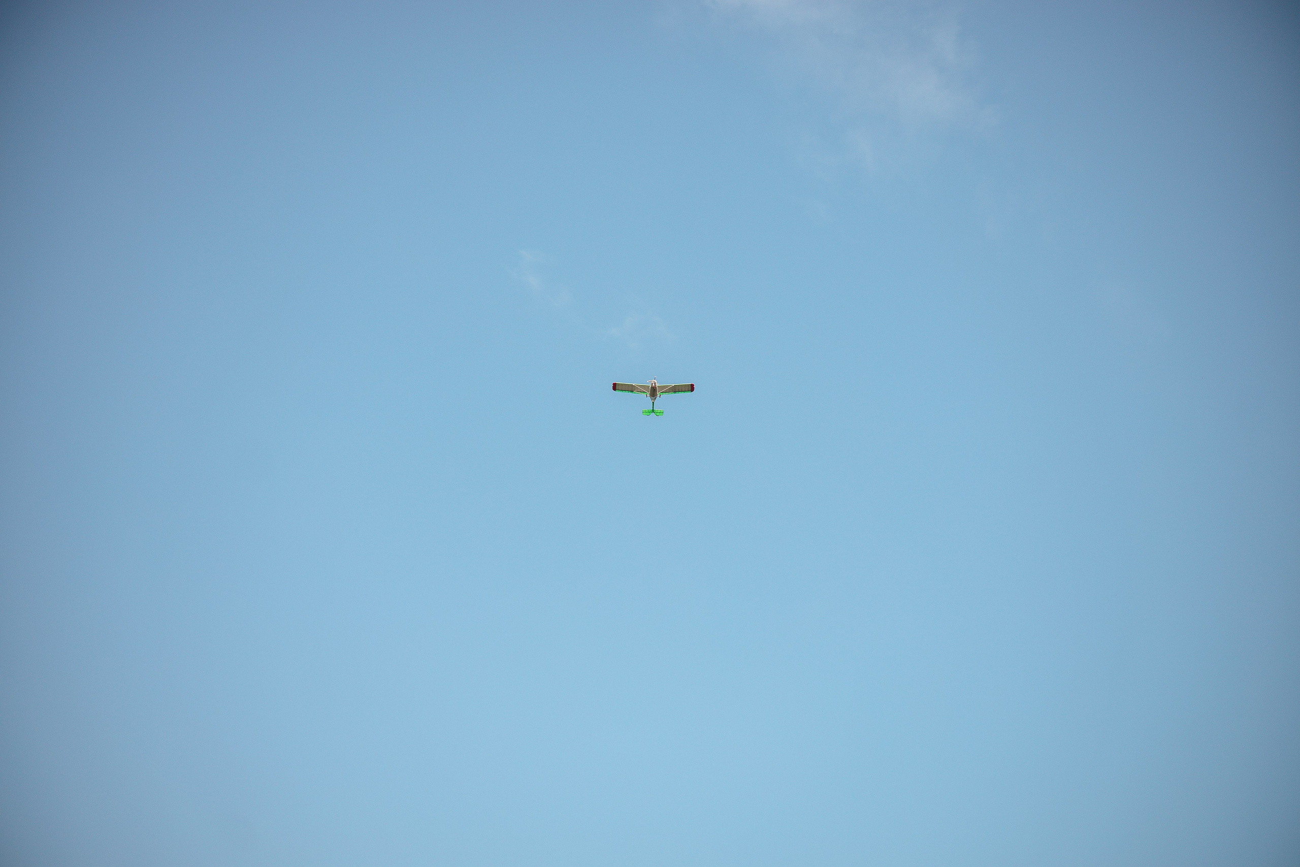 Алёна & Дима. Полный день. Свадебный и семейный фотограф Пушкин Царское Село СПБ Питер Санкт-Петербург и Рязань Ольга Козлова