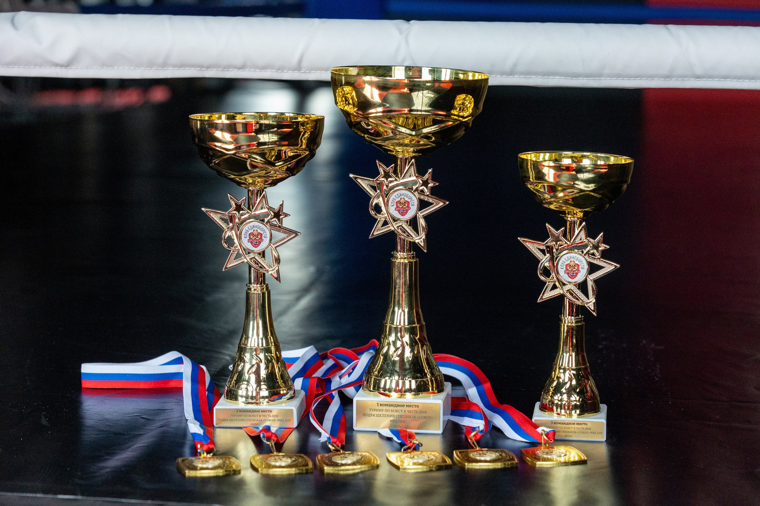 Турнир по боксу Одинцовский р-н 30.03.2025. Фото и видео съемка Ваших мероприятий