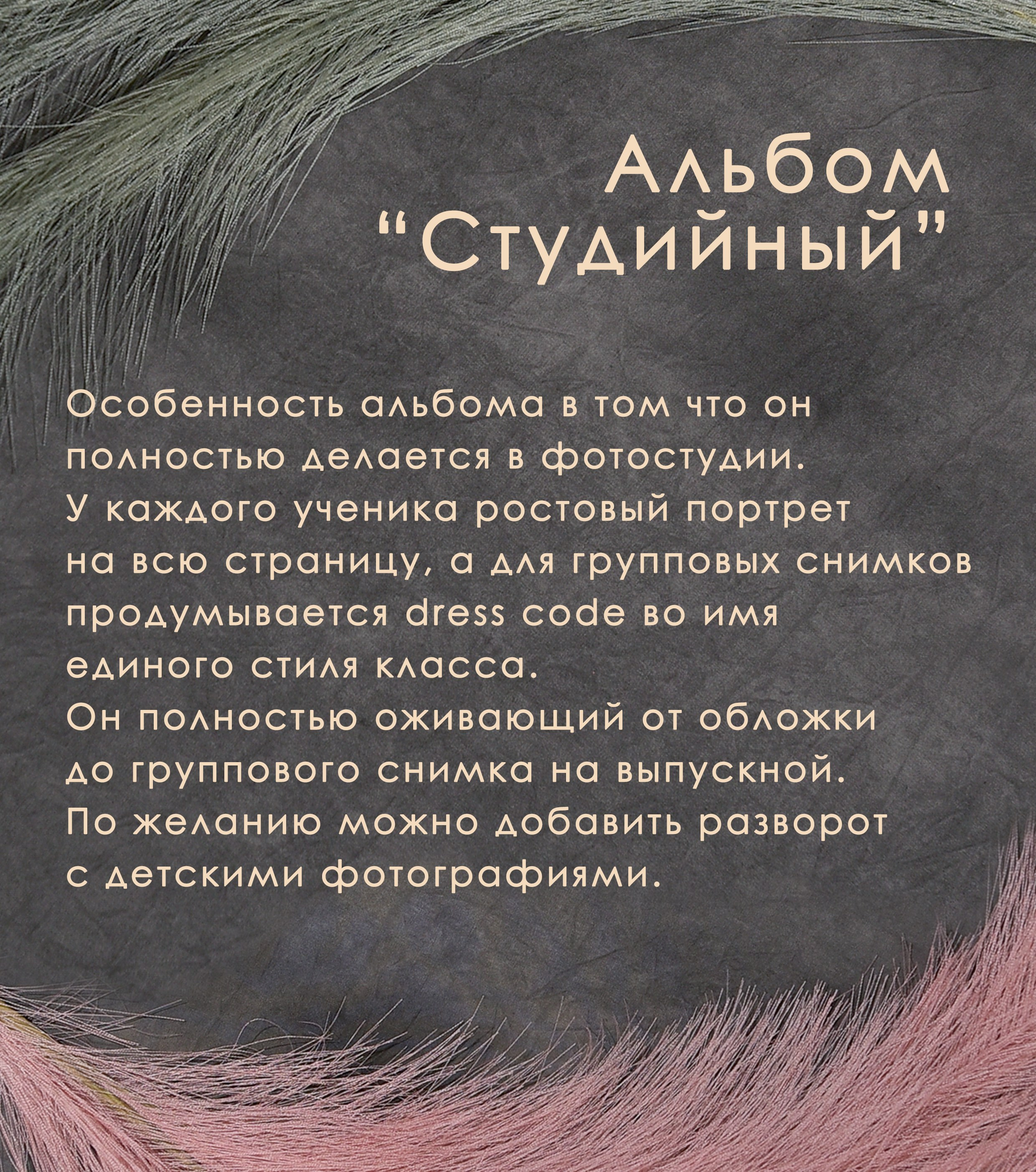 Студийный. Фотограф Гончарова Анна г. Можайск