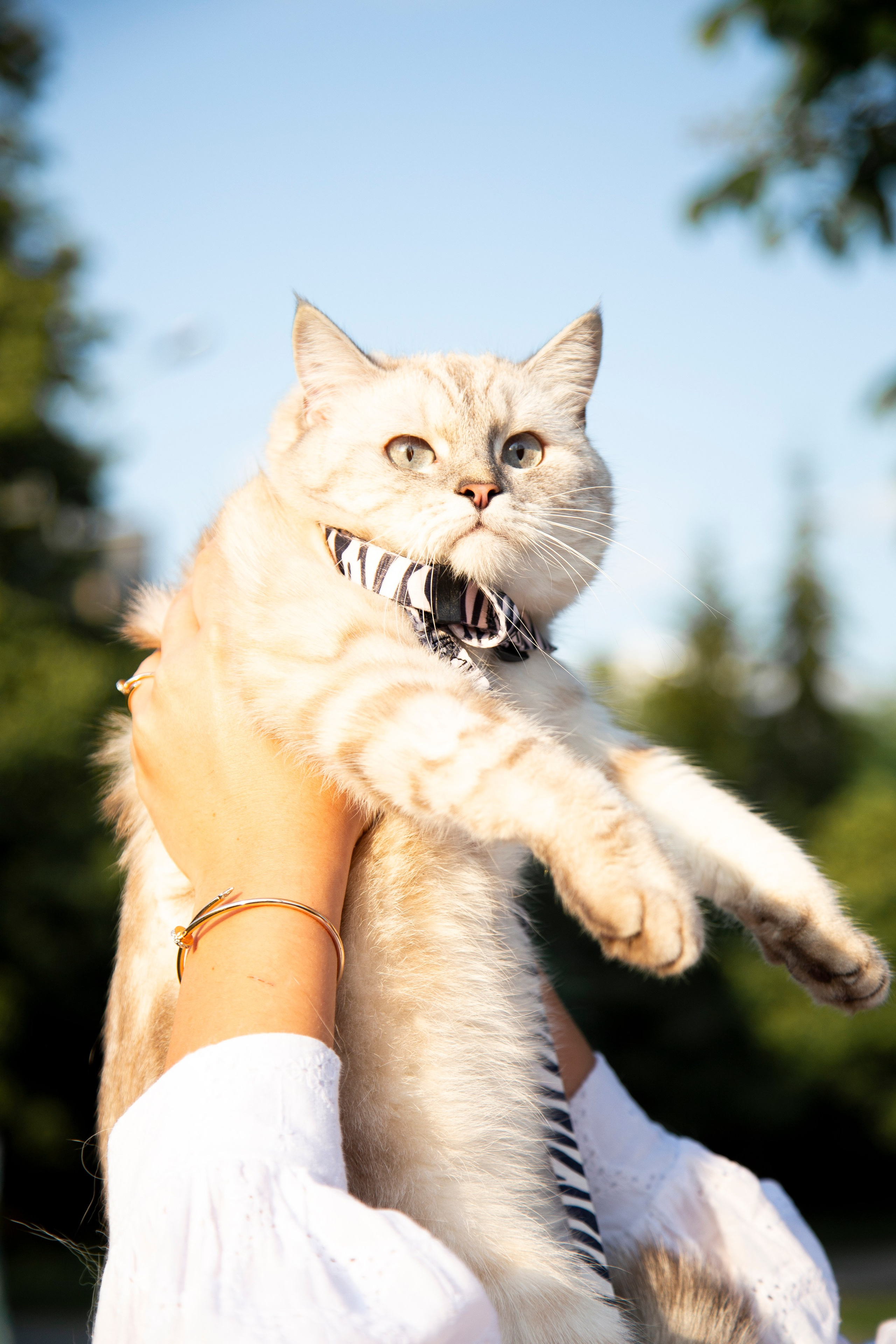 В моде тёплые коты. Репортажный и портретный фотограф Казань / Горячих Полина