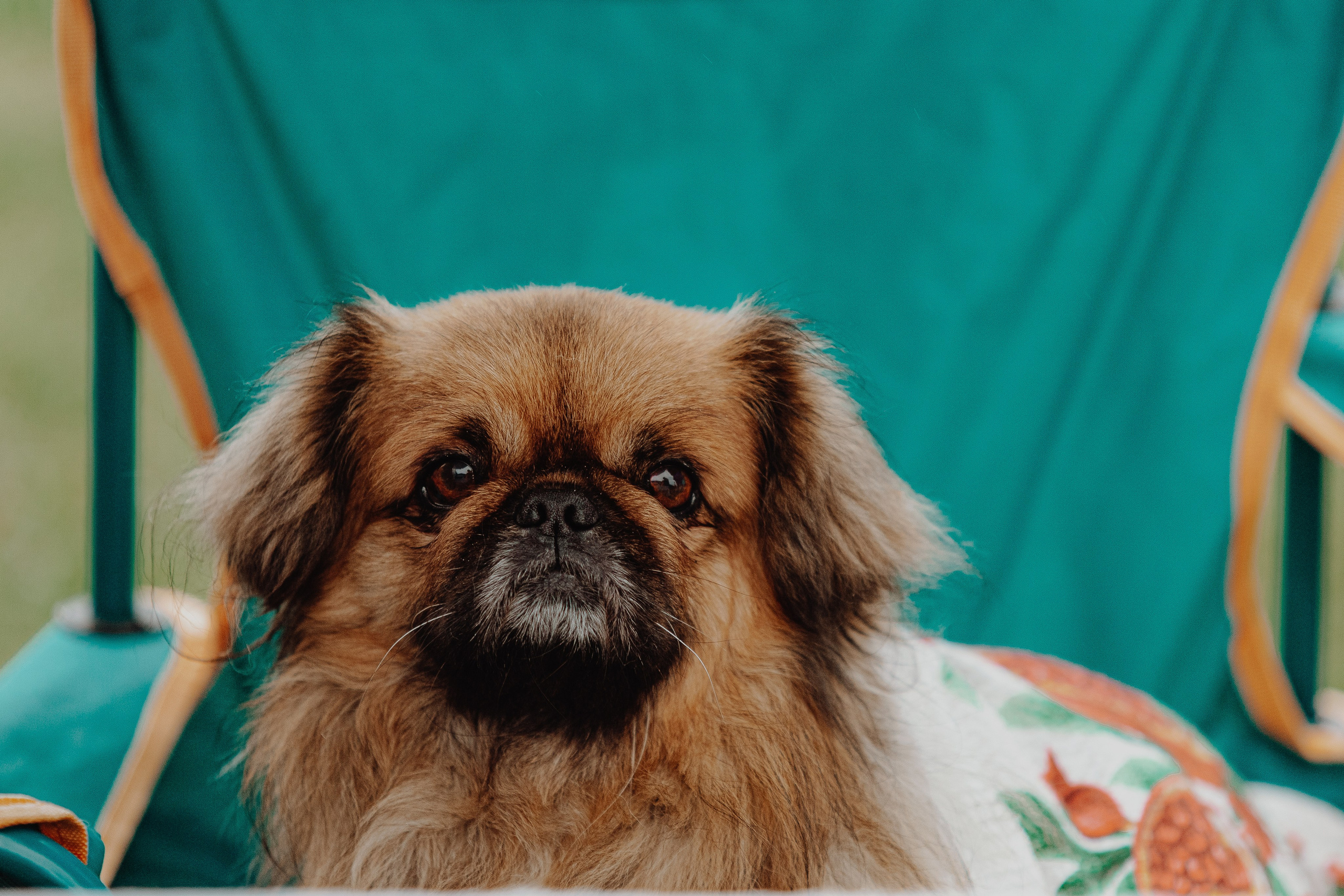 Фестиваль «Абалакское поле» XVI. Арт-фотограф Крис Л. в Тобольске: портрет, семейные, свадьбы