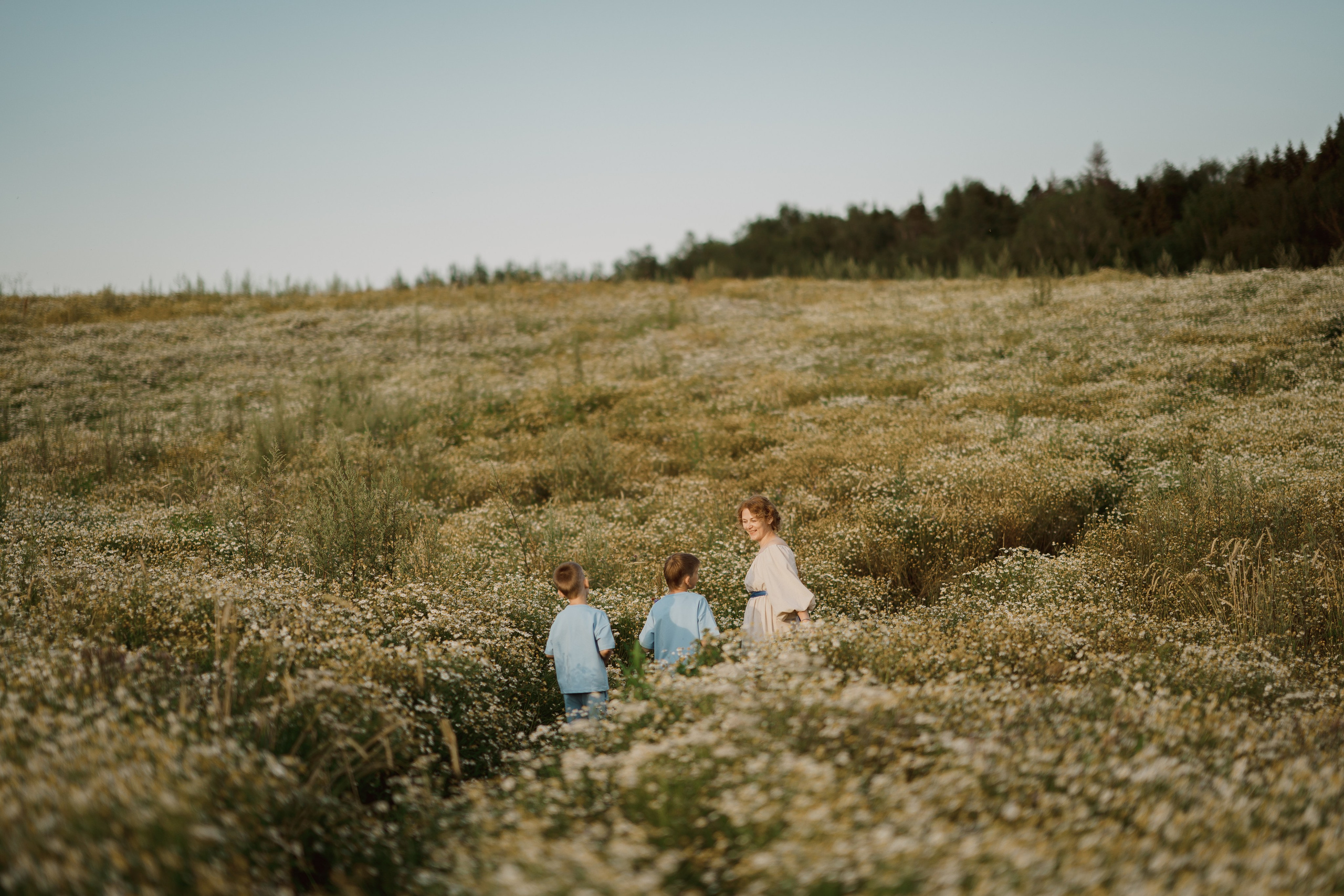 Ромашковое поле. Радонеж. Семейный и детский фотограф в Сергиев Посаде, Хотьково Якимчук Любовь