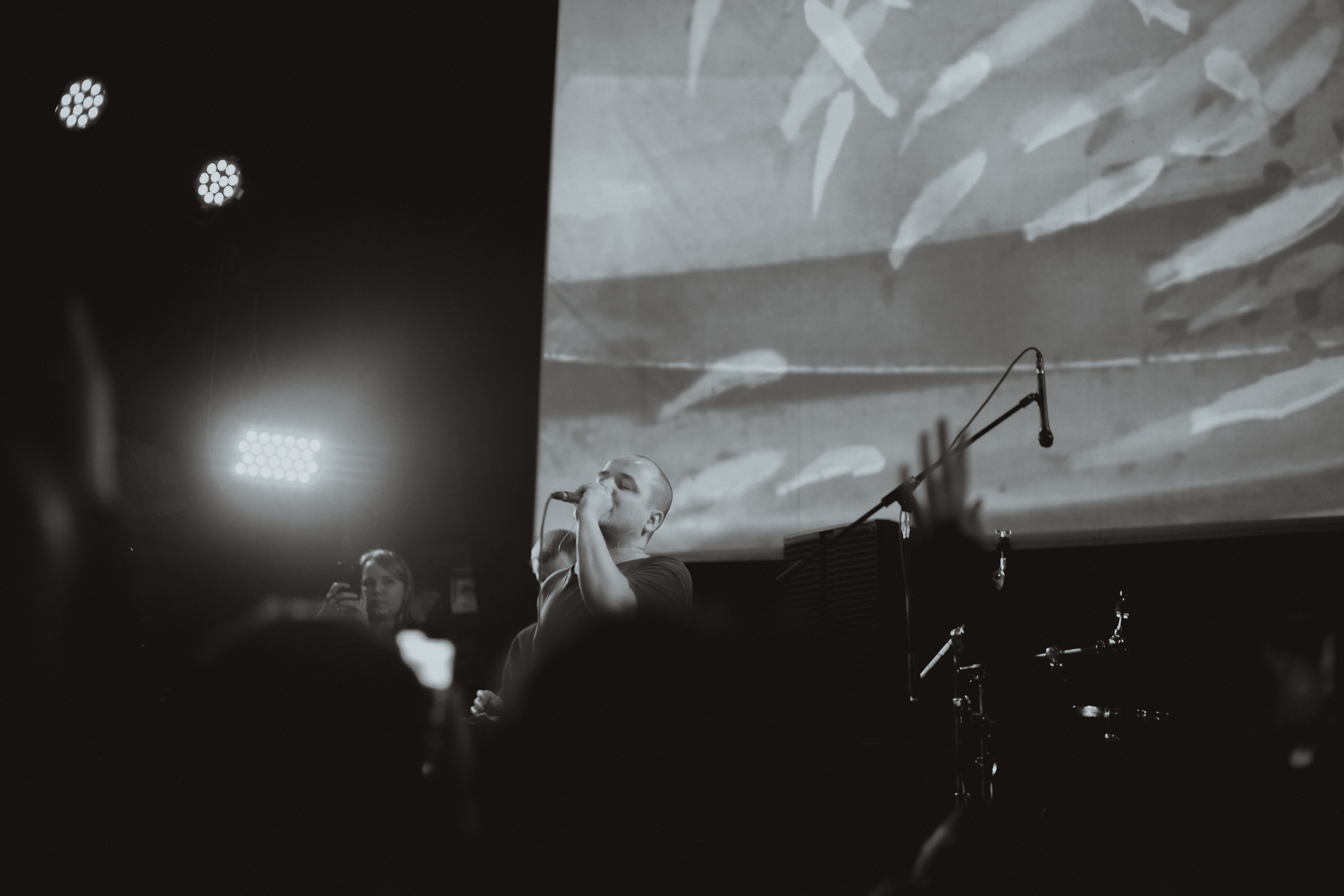 10.01.2025. Анна Мильч