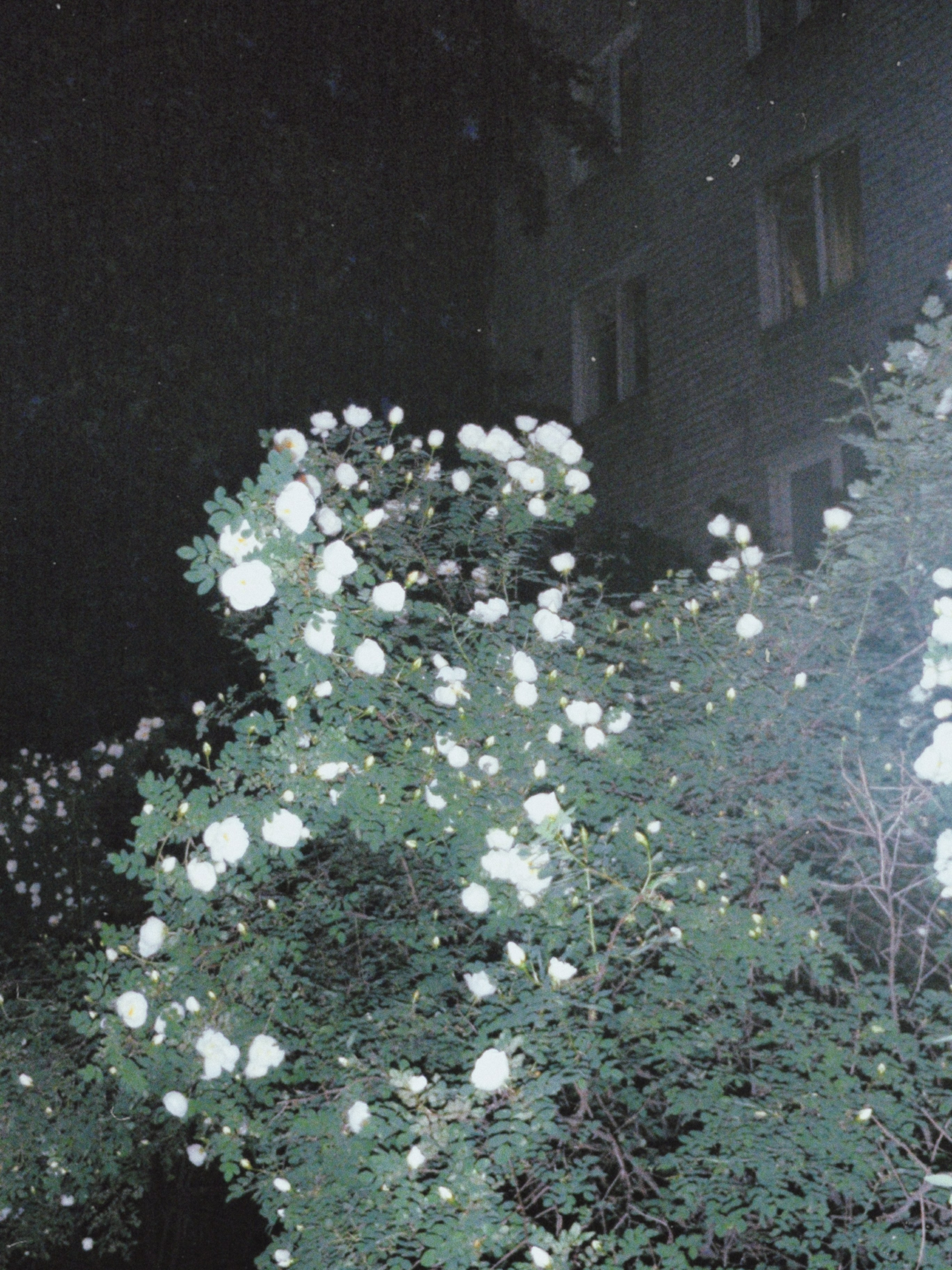 Olimpus mju 1030sw. Анна Мильч