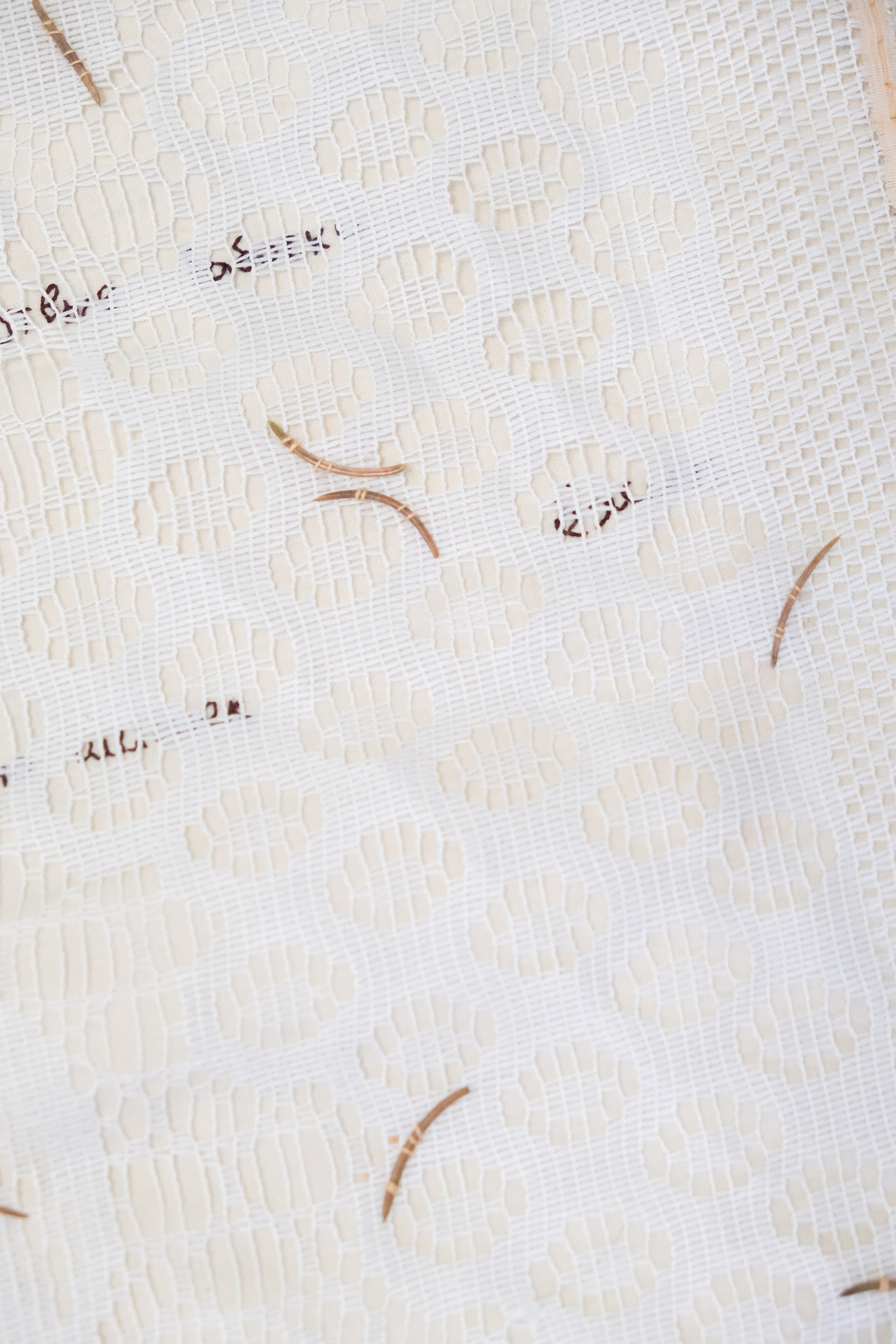 7 дней лета. Козлова Екатерина. Междисциплинарная визуальная художница