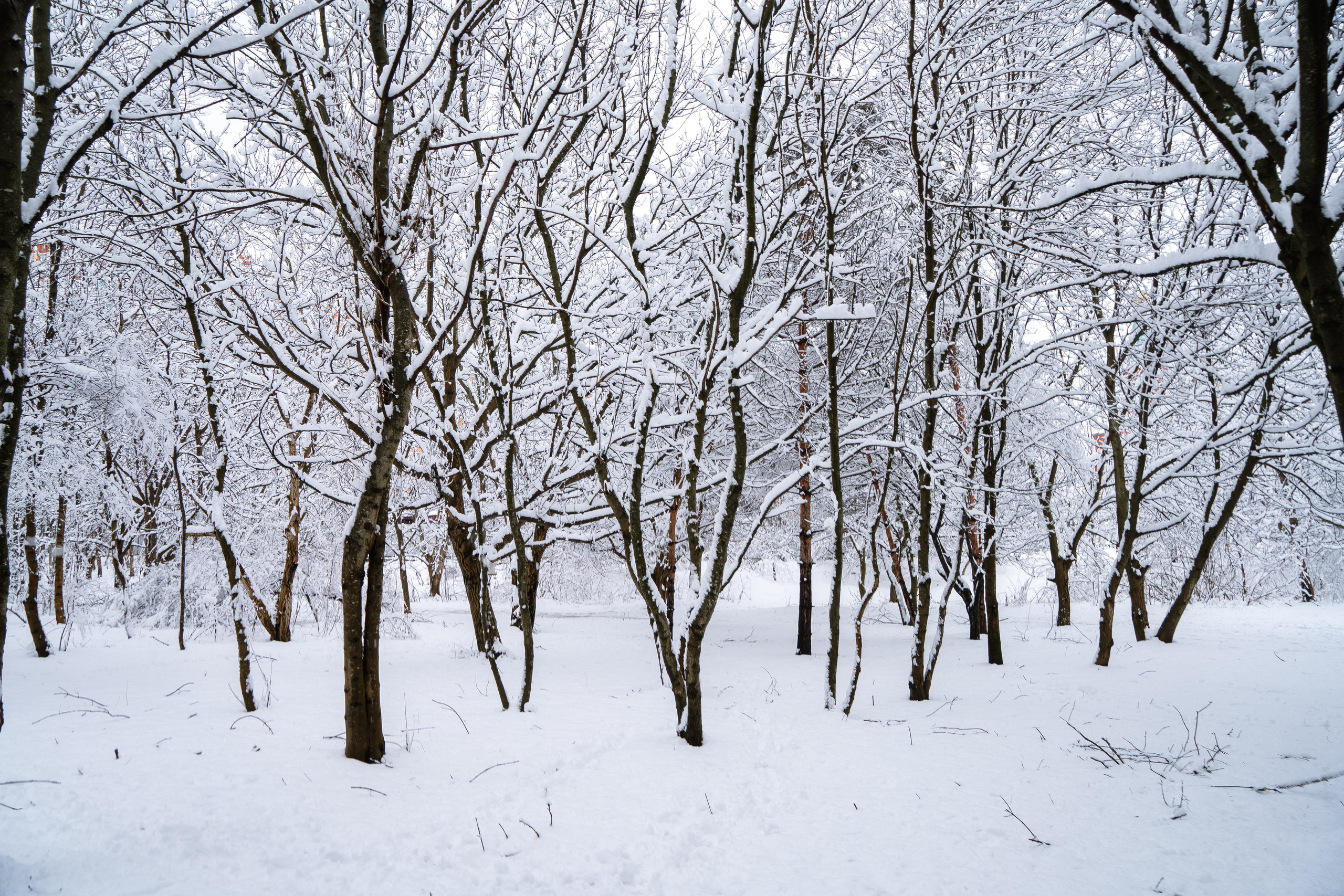 Зима 2024. Свадебный и семейный фотограф/видеограф в Краснодаре Наталья Осинская