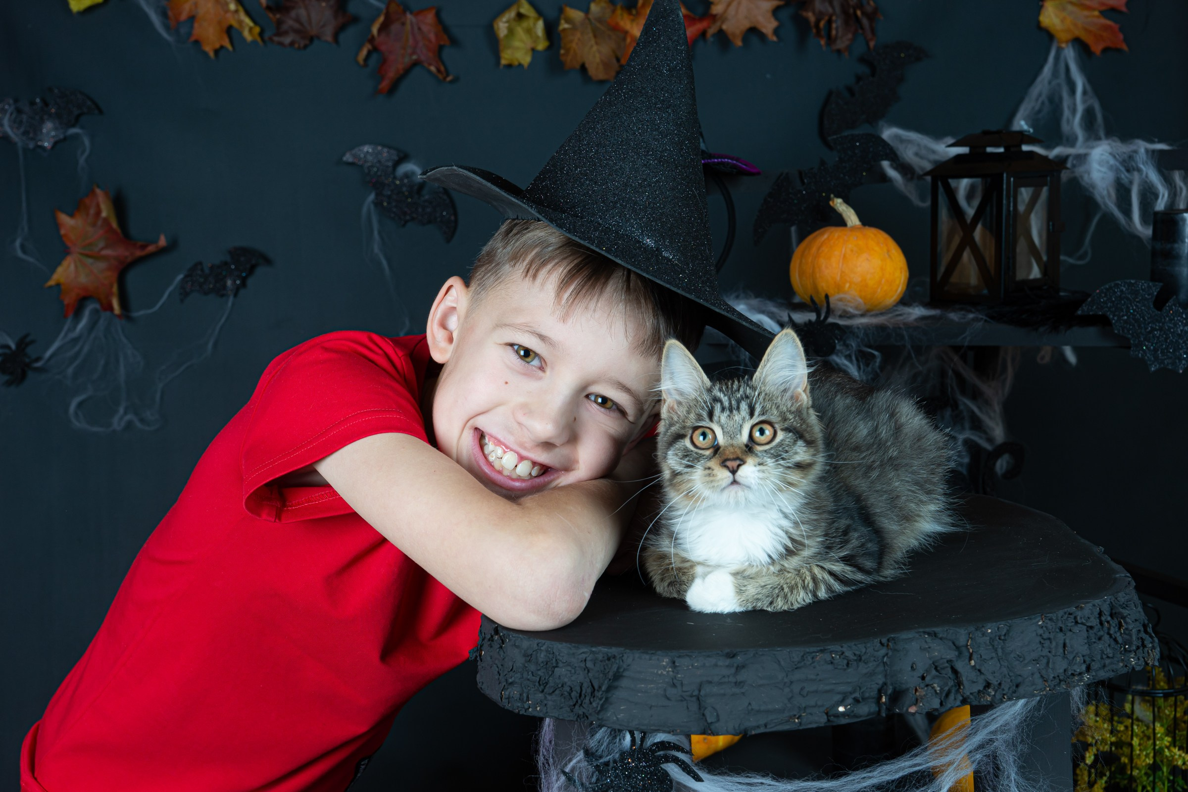 Хеллоуин 2024. Фотограф на Камчатке Анна Моргачёва. Семейные и детские съёмки