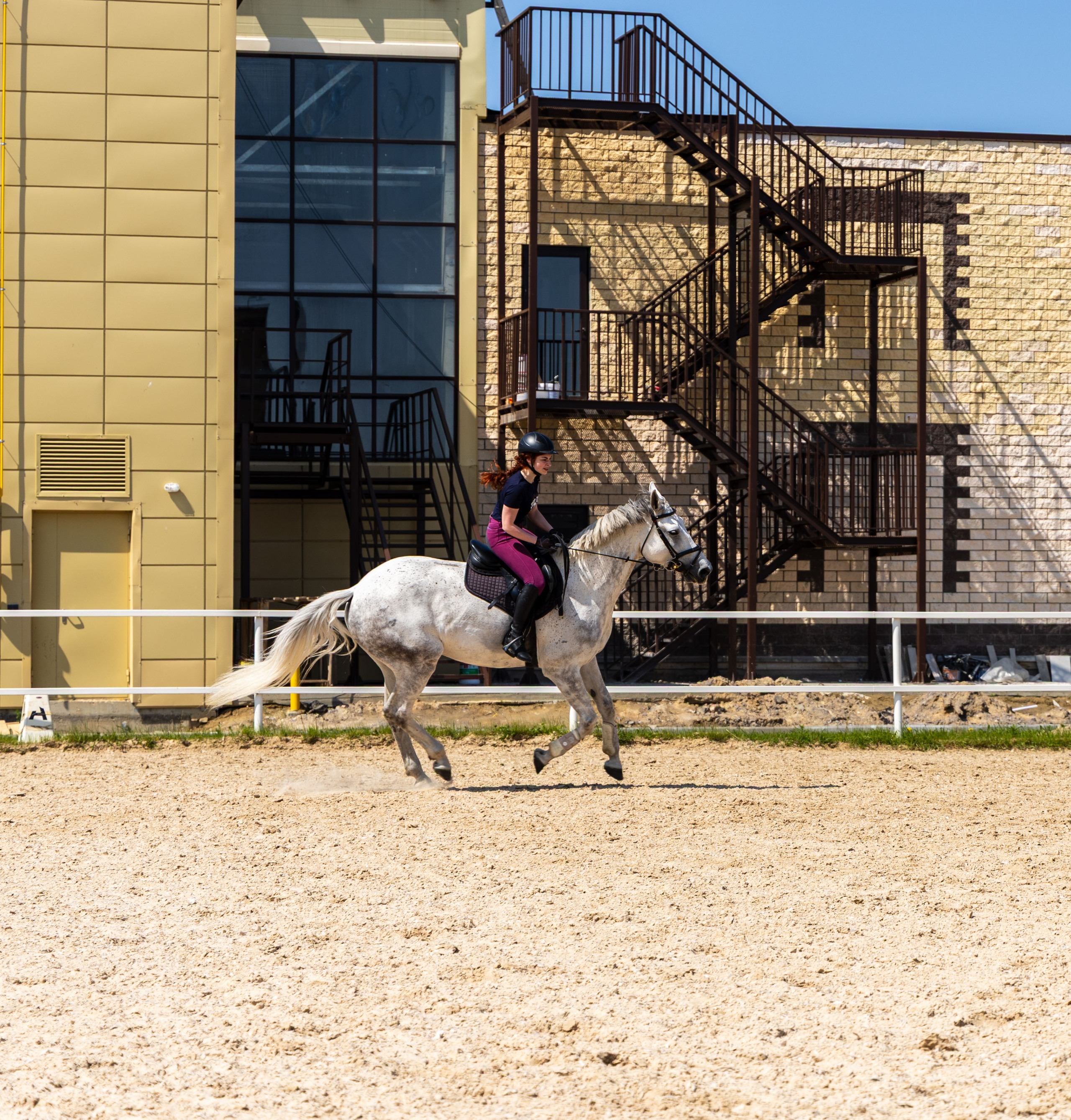 Репортаж.Конная тренировка. Портретный и семейный фотограф Санкт-Петербург