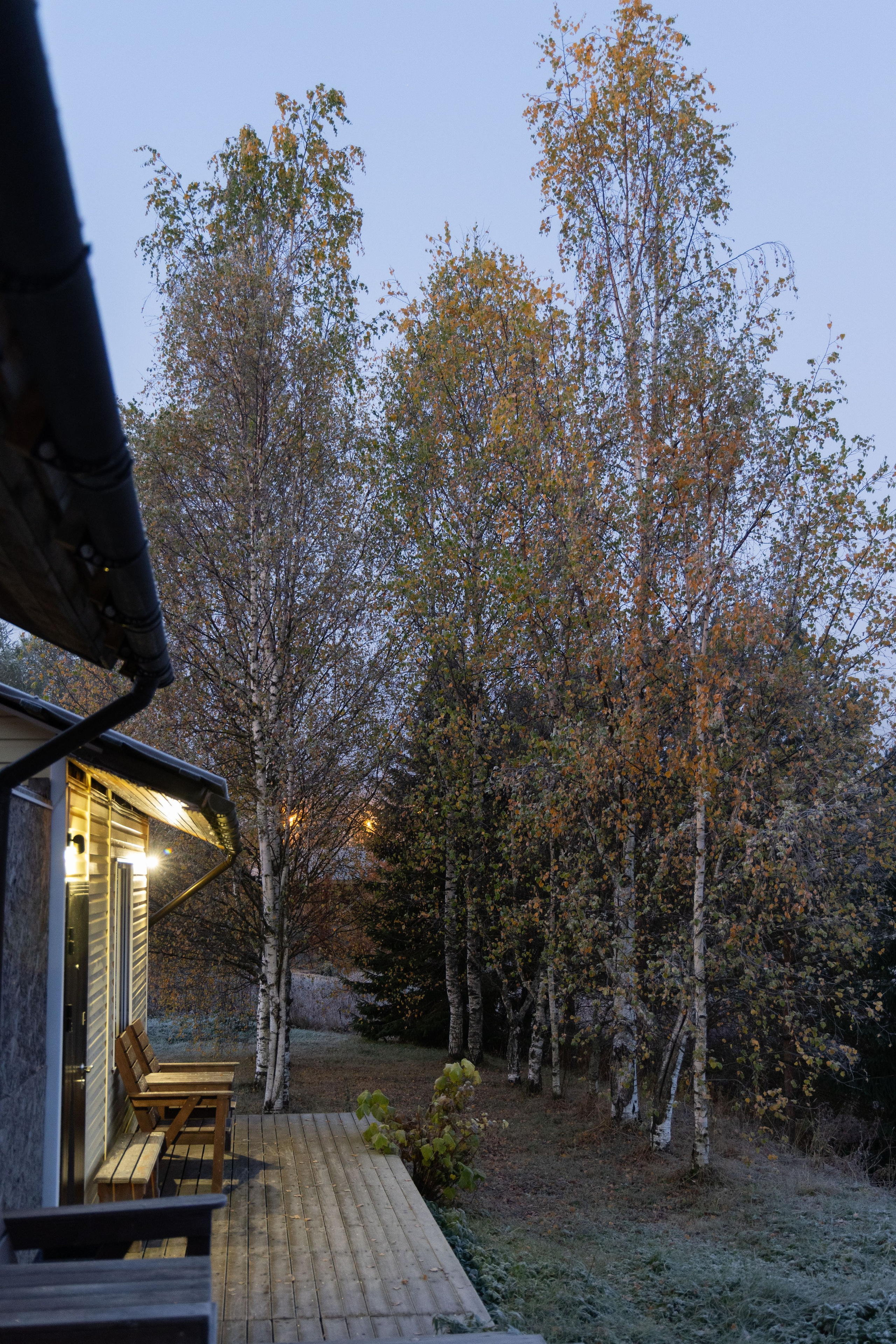 Природа Карелии октябрь 2025. Портретный и семейный фотограф Санкт-Петербург