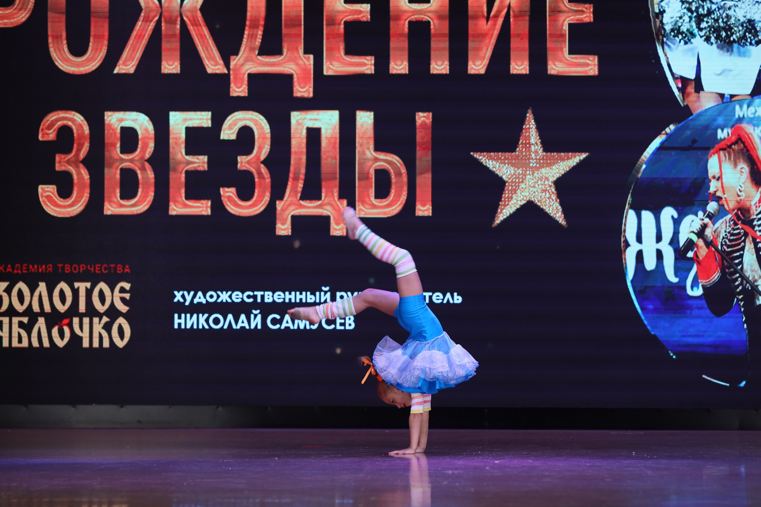 4 ноября, блок 1, видео, номера 49-58, г. Краснодар. Золотое яблочко