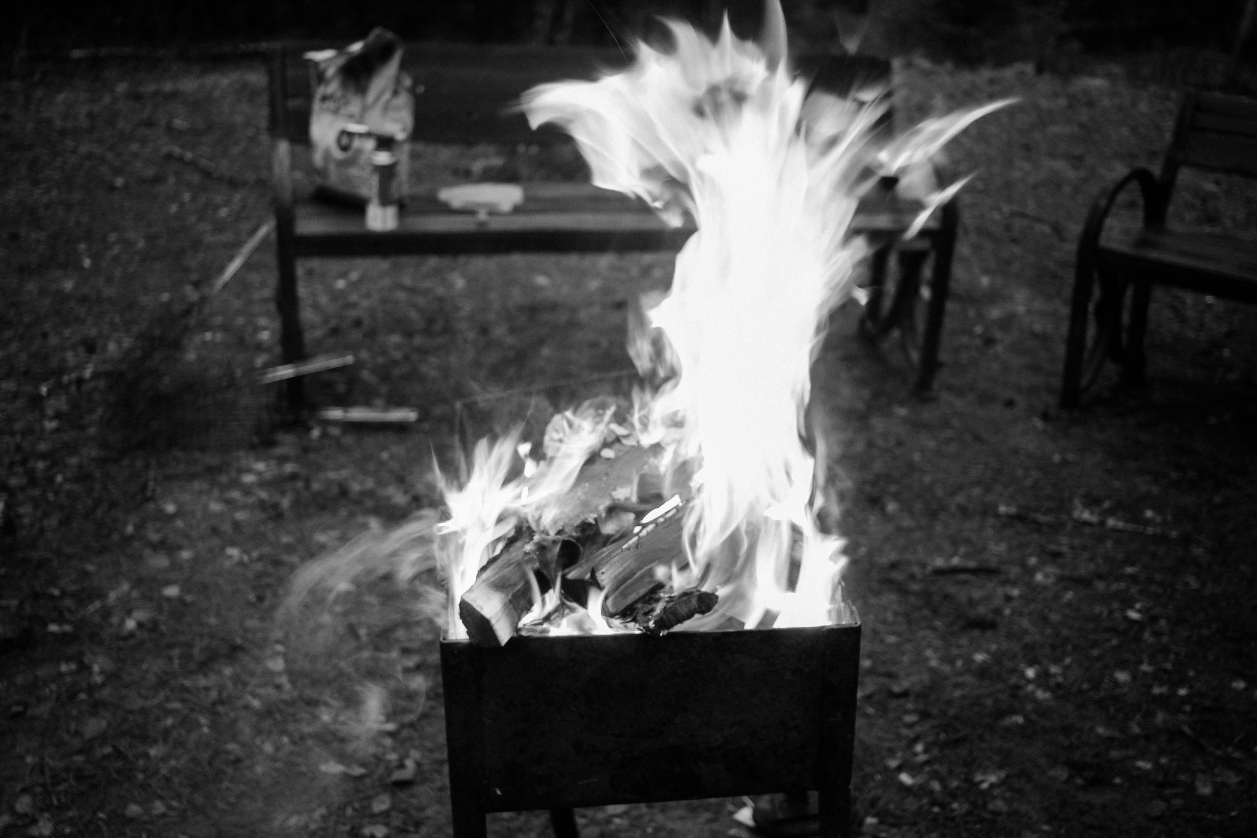 Лес и абстрактность. Портретный фотограф DanilNabody