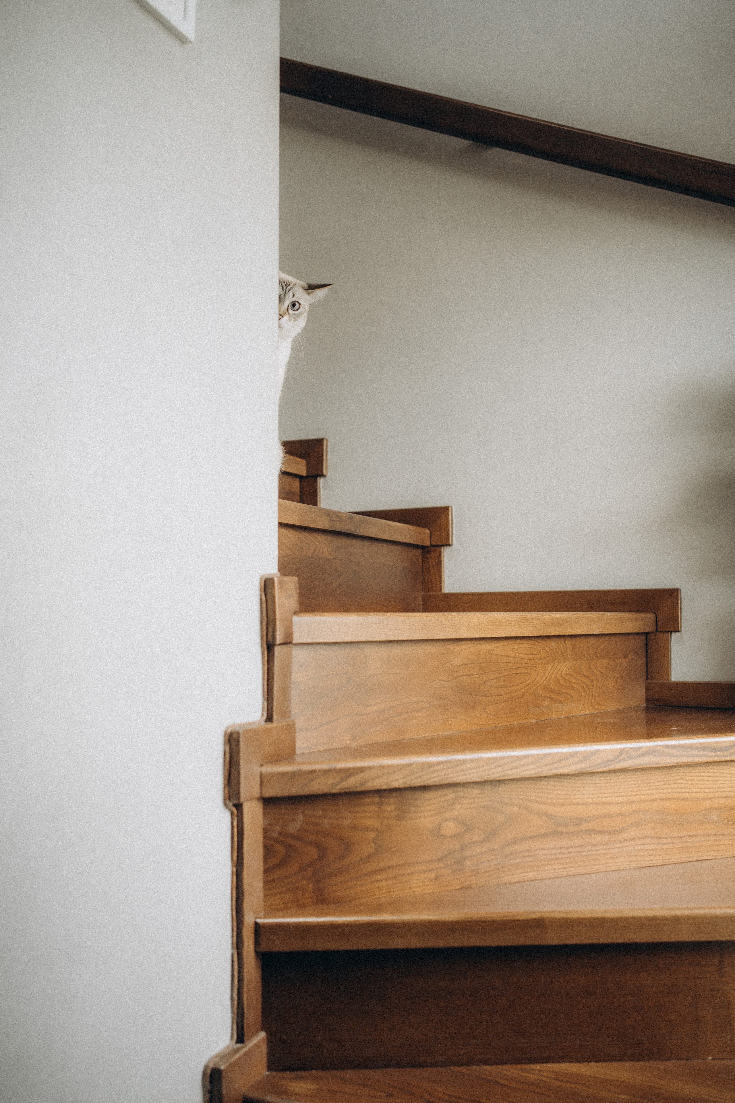 Семейный lifestyle фотограф в Ростове-на-Дону