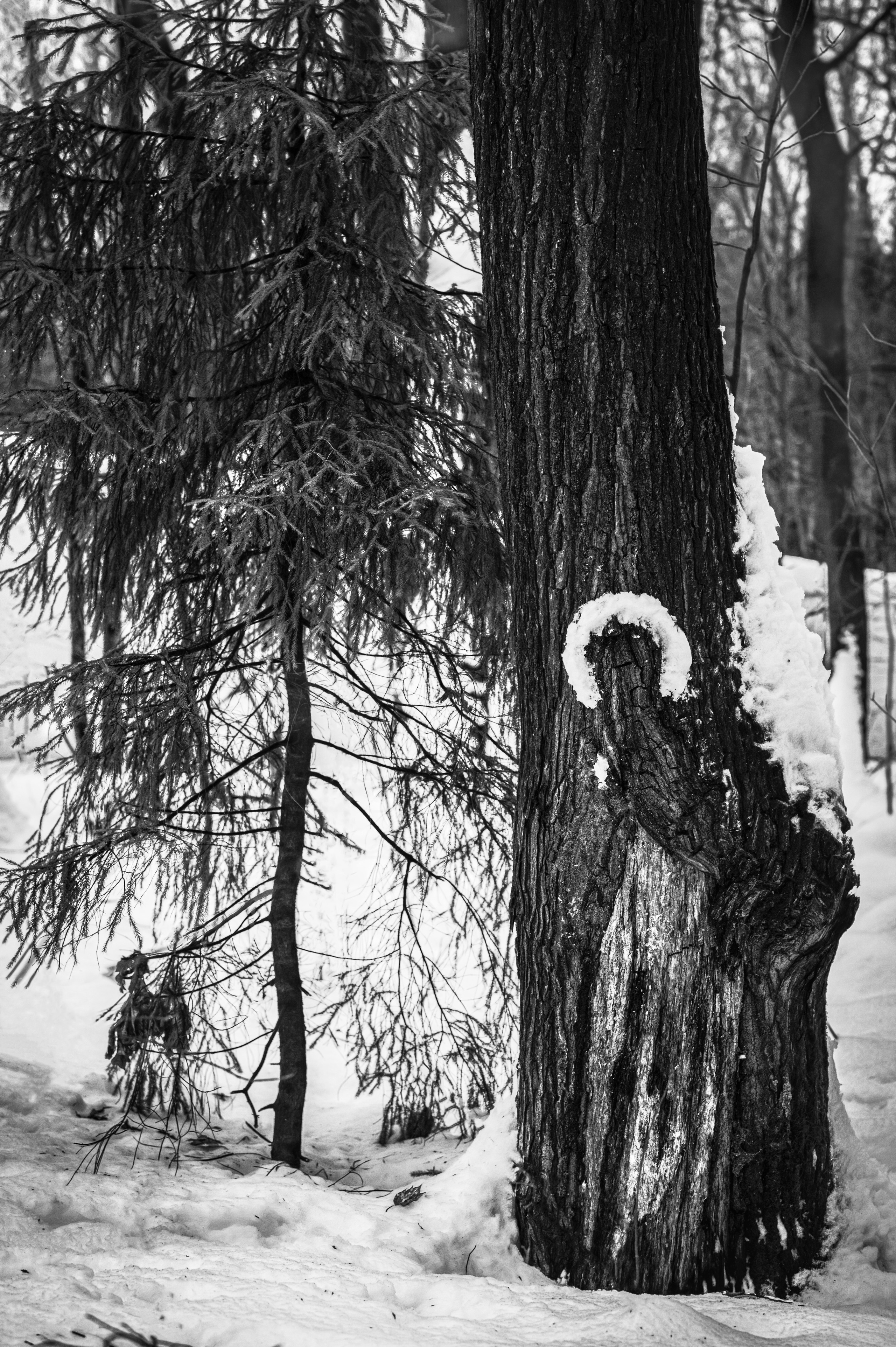 Проявление. Фотограф Марина Жиделева