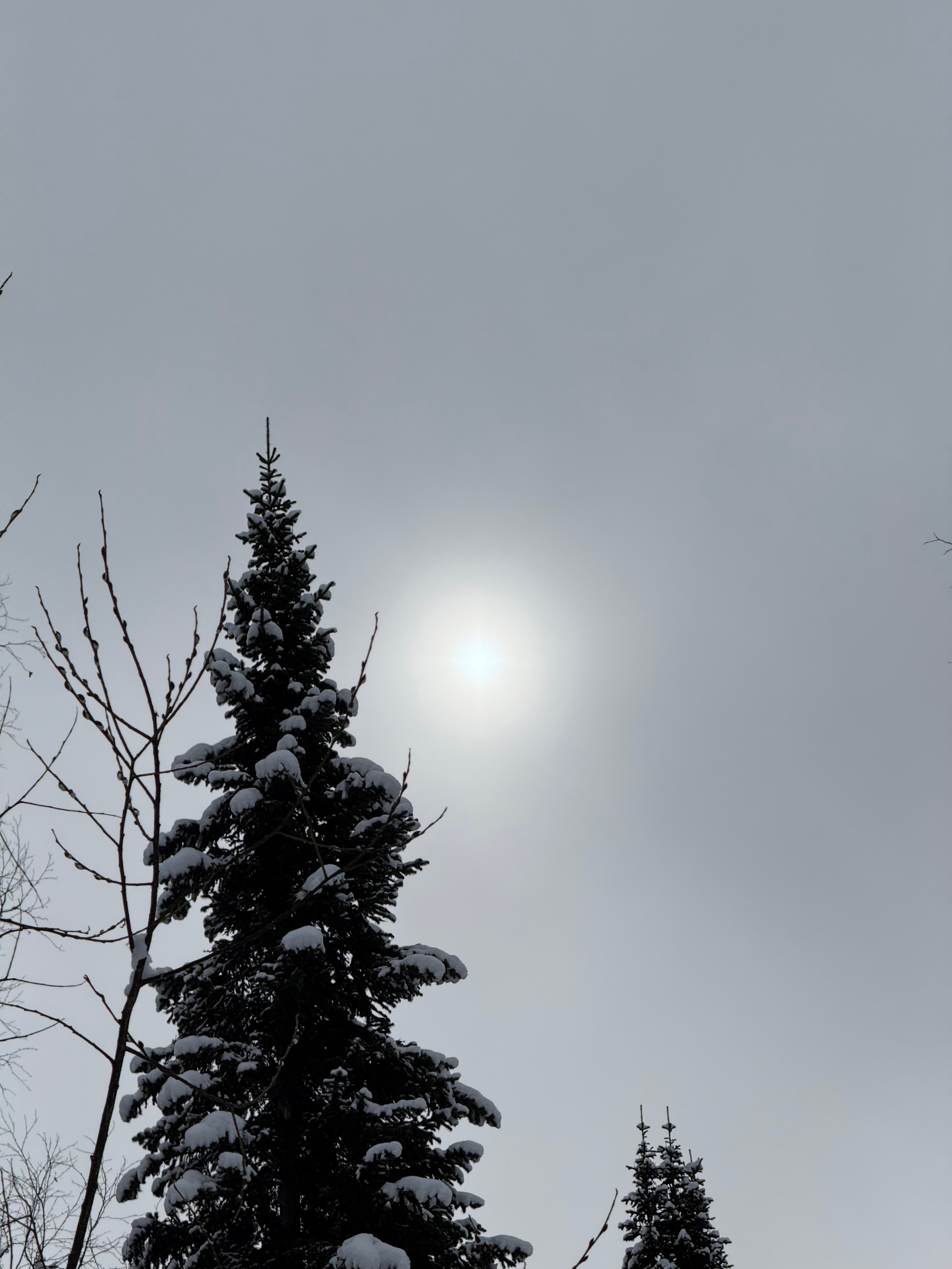 Фотограф Москва. Фотограф и художник в Москве Евгения Нюнина