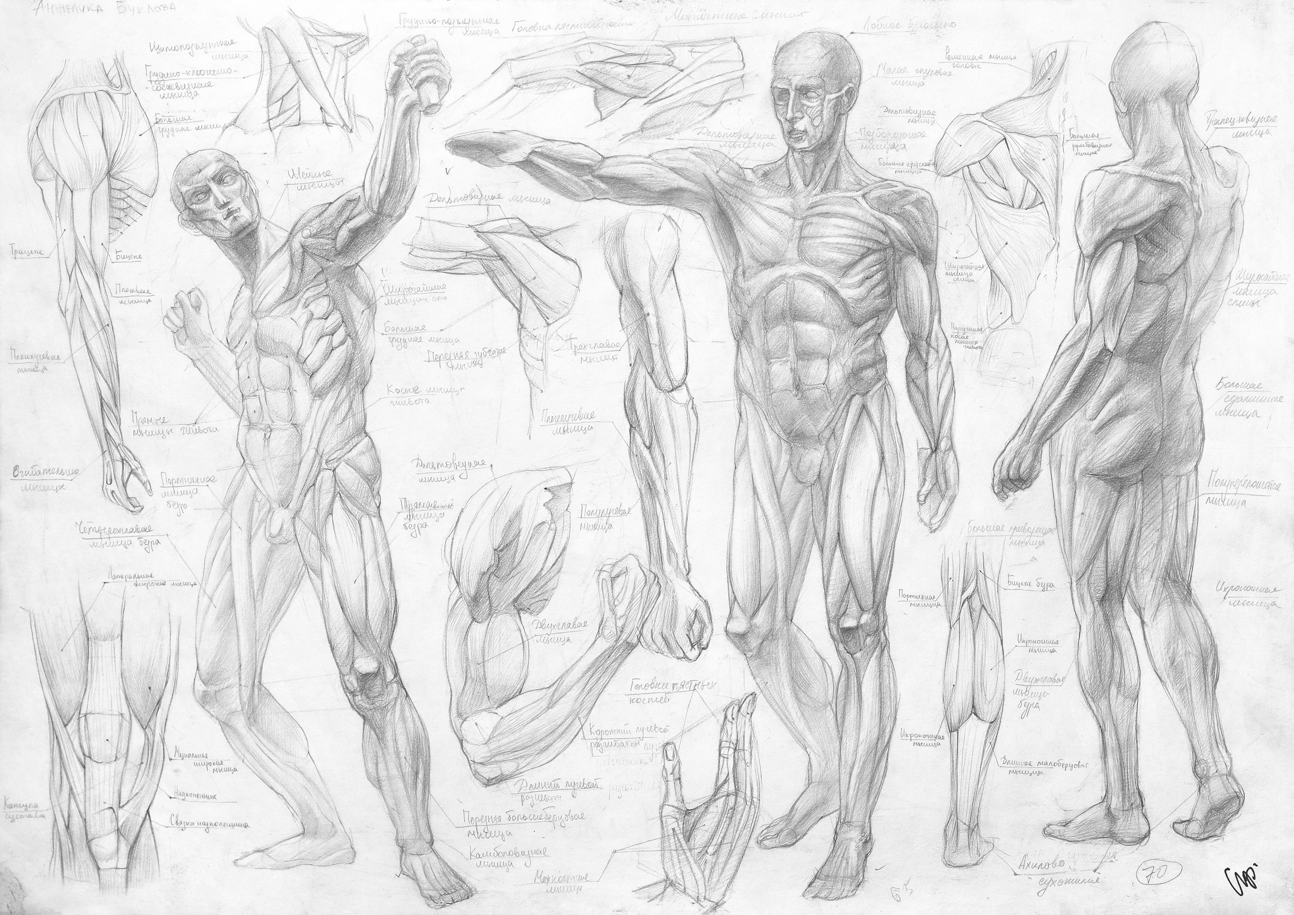 Работы студентов. Главная