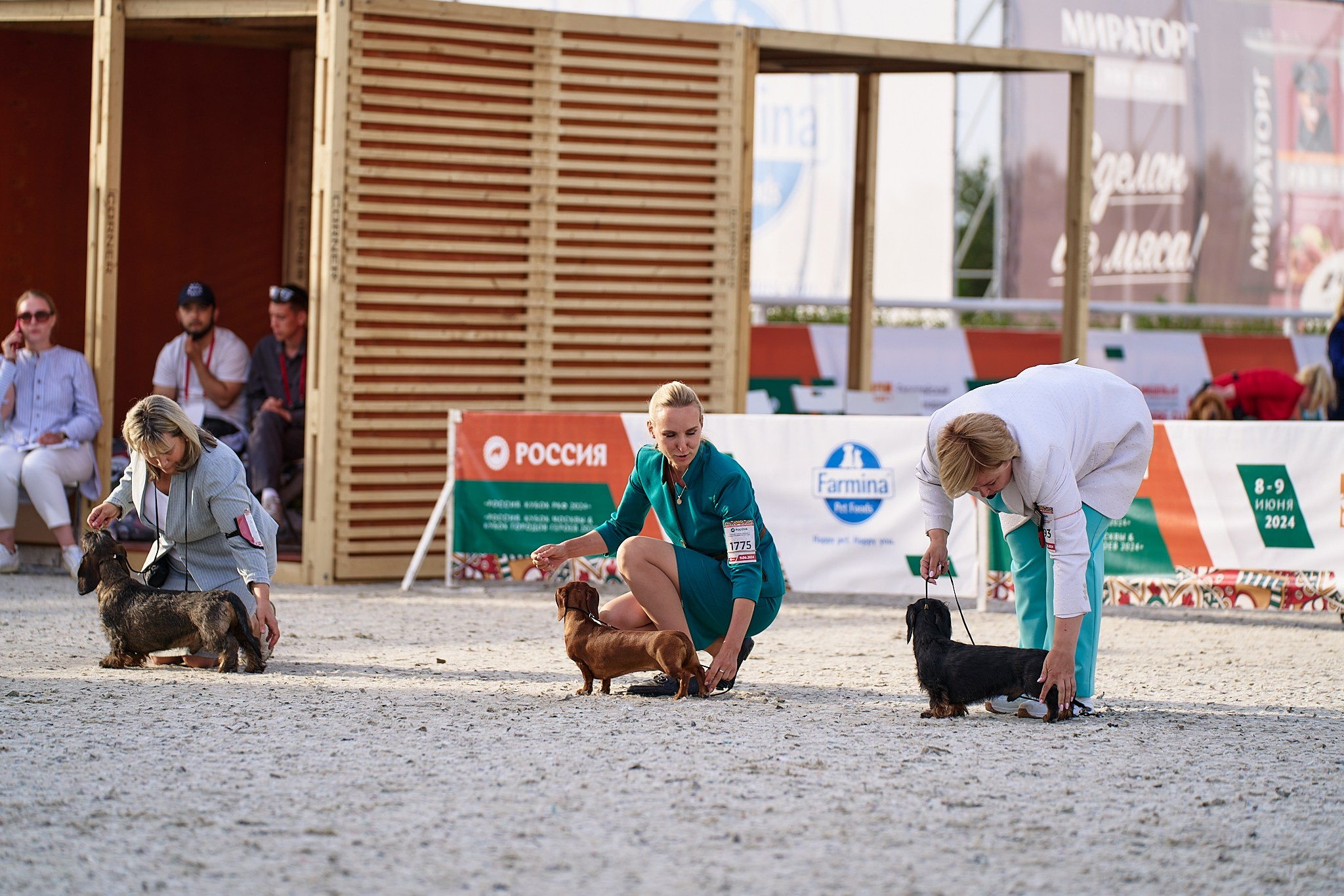 09.06.2024, «РОССИЯ. КУБОК МОСКВЫ 2024 & КУБОК ГОРОДОВ-ГЕРОЕВ»