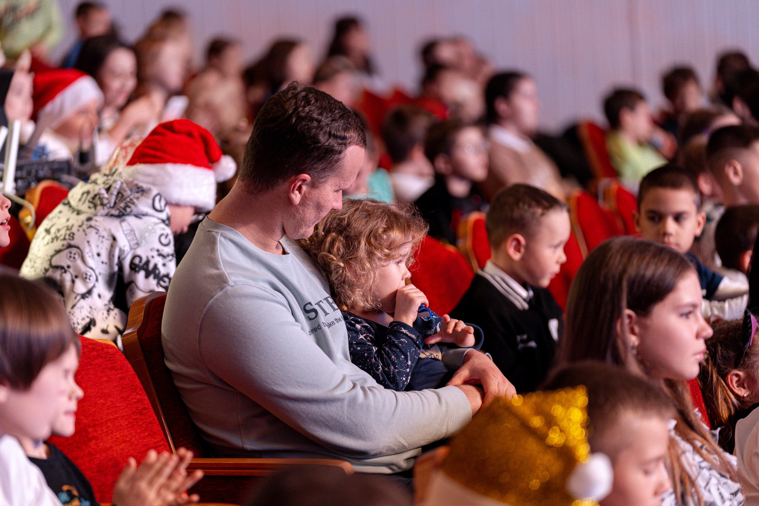 Ёлка. ФОТОГРАФ ИВАН НОВИКОВ | СТАВРОПОЛЬ