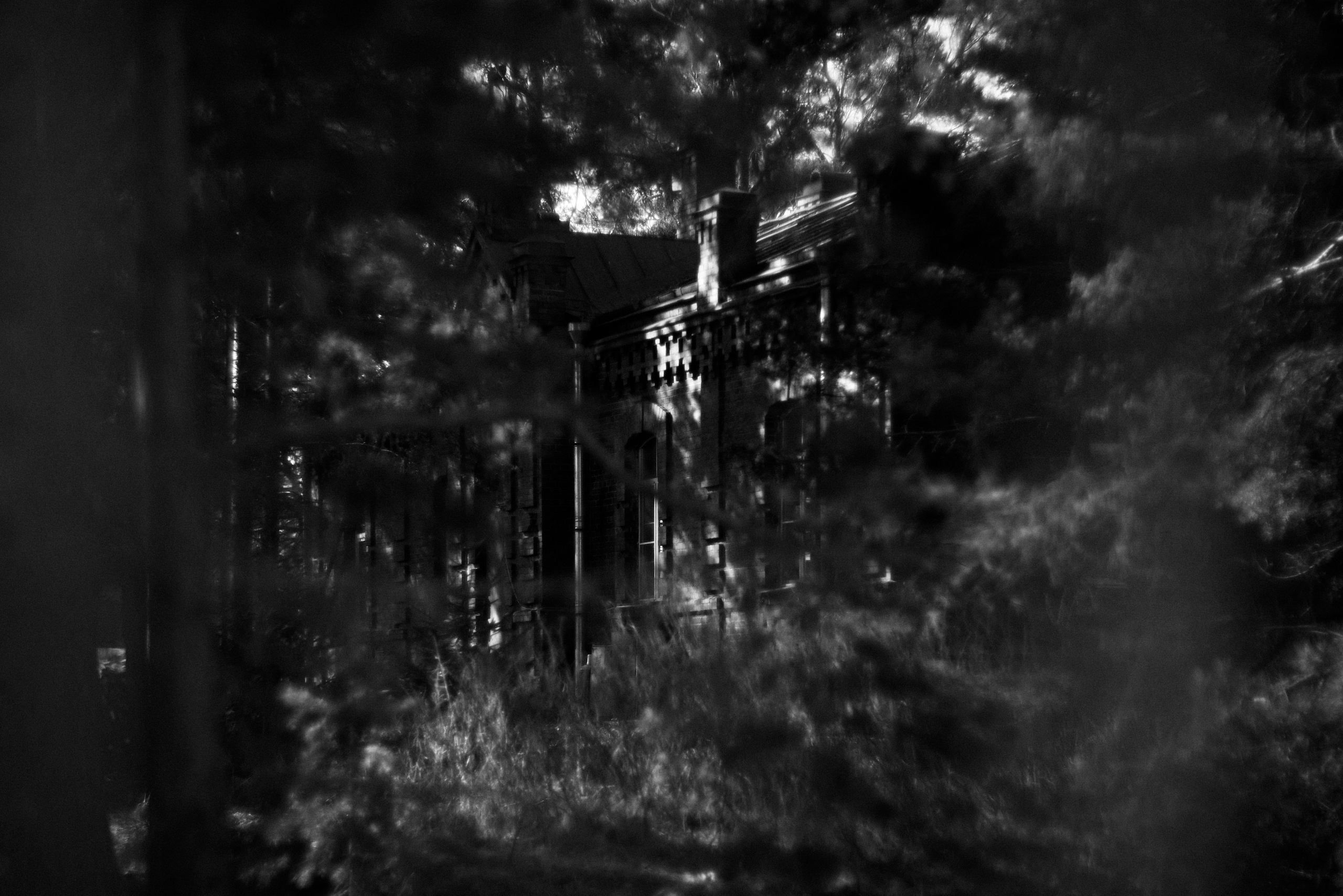 Mesto Sily. Свадебный фотограф Санкт-Петербург DanyaPhotoart