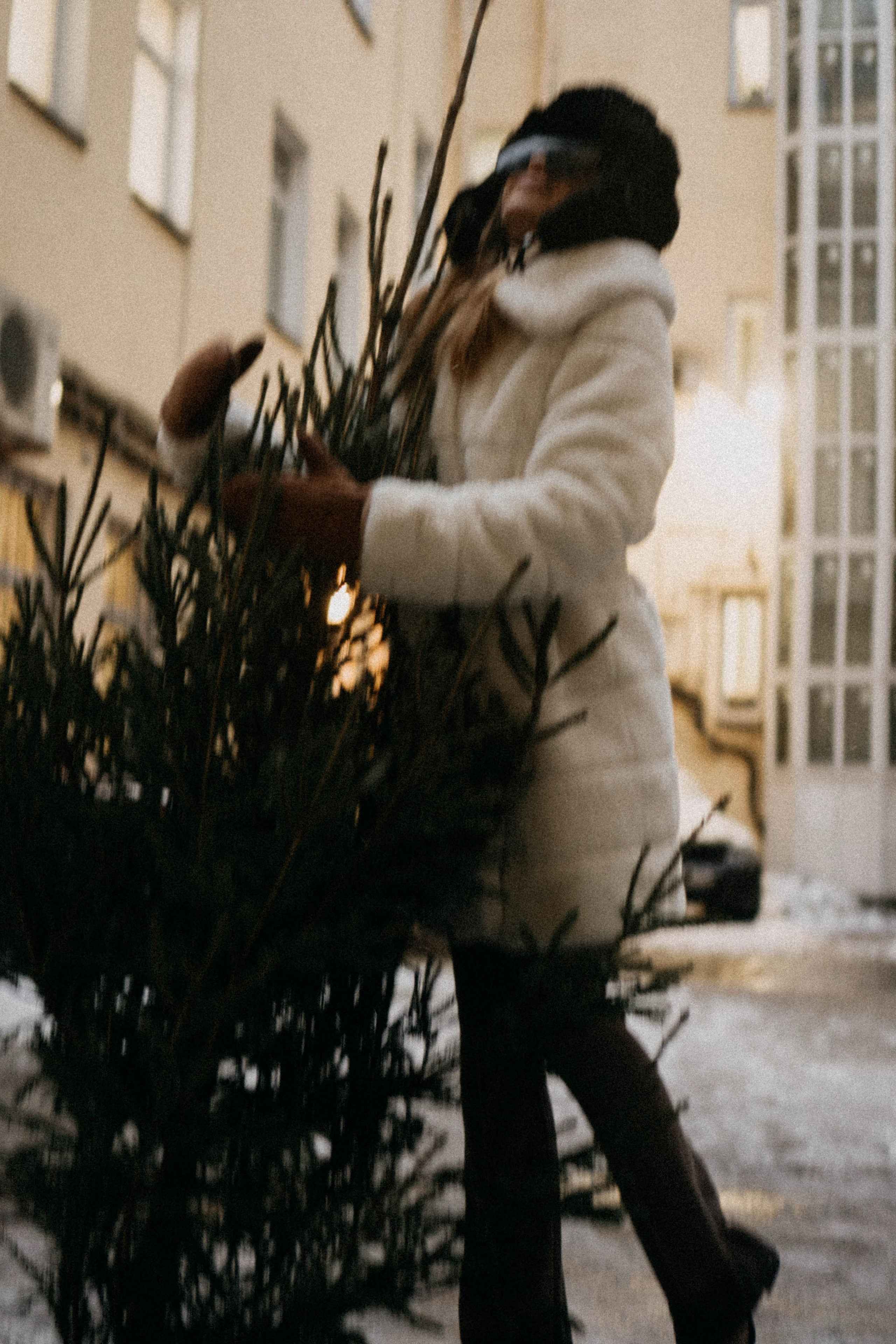 Новогодняя. Профессиональный фотограф, Санкт-Петербург — Виктория Богомолова