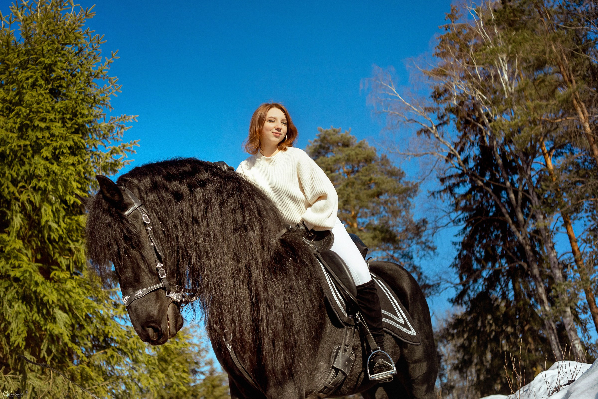 Фотосессии с лошадьми зимой. Фотограф женский и мужской портрет Санкт-Петербург