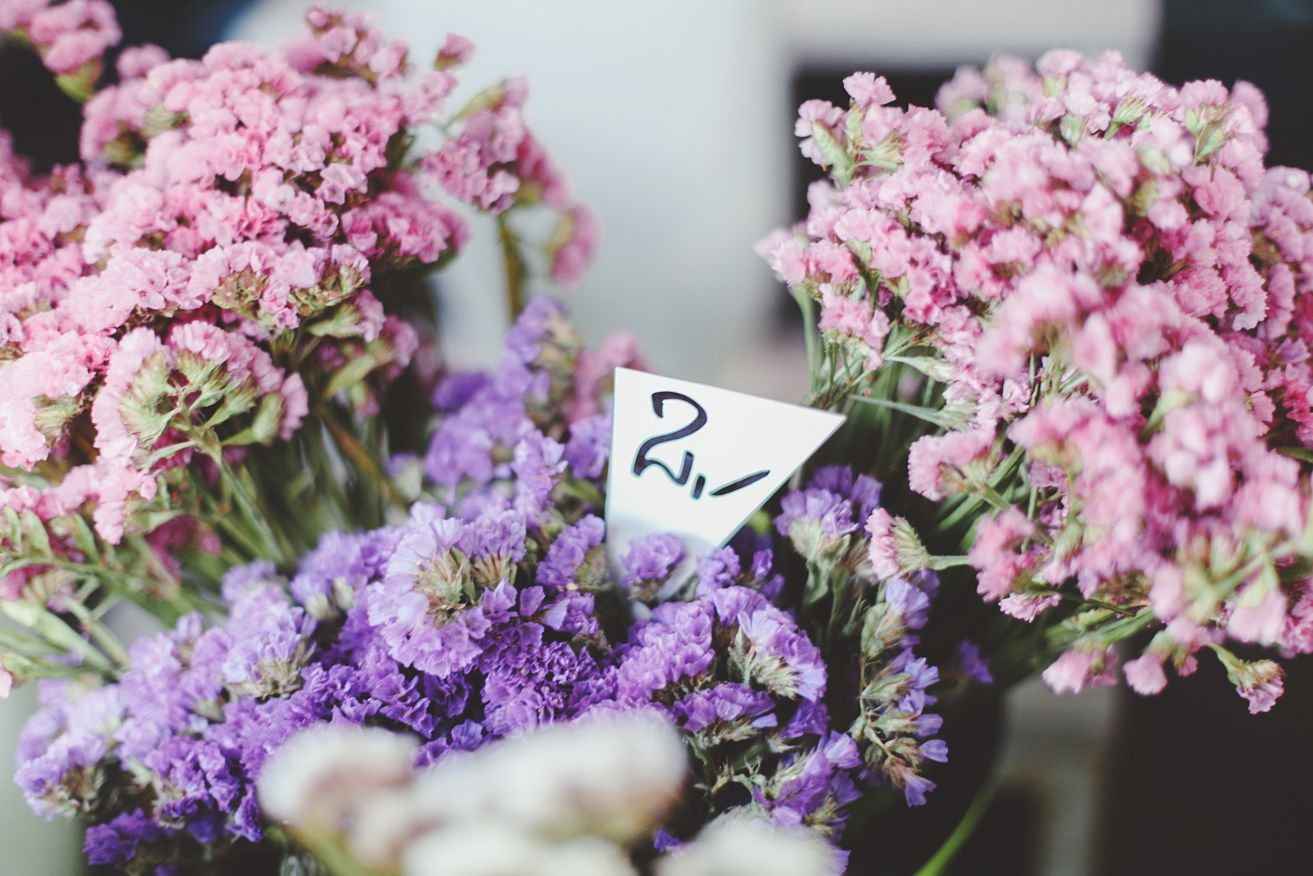 Латвия. Аня Степанова