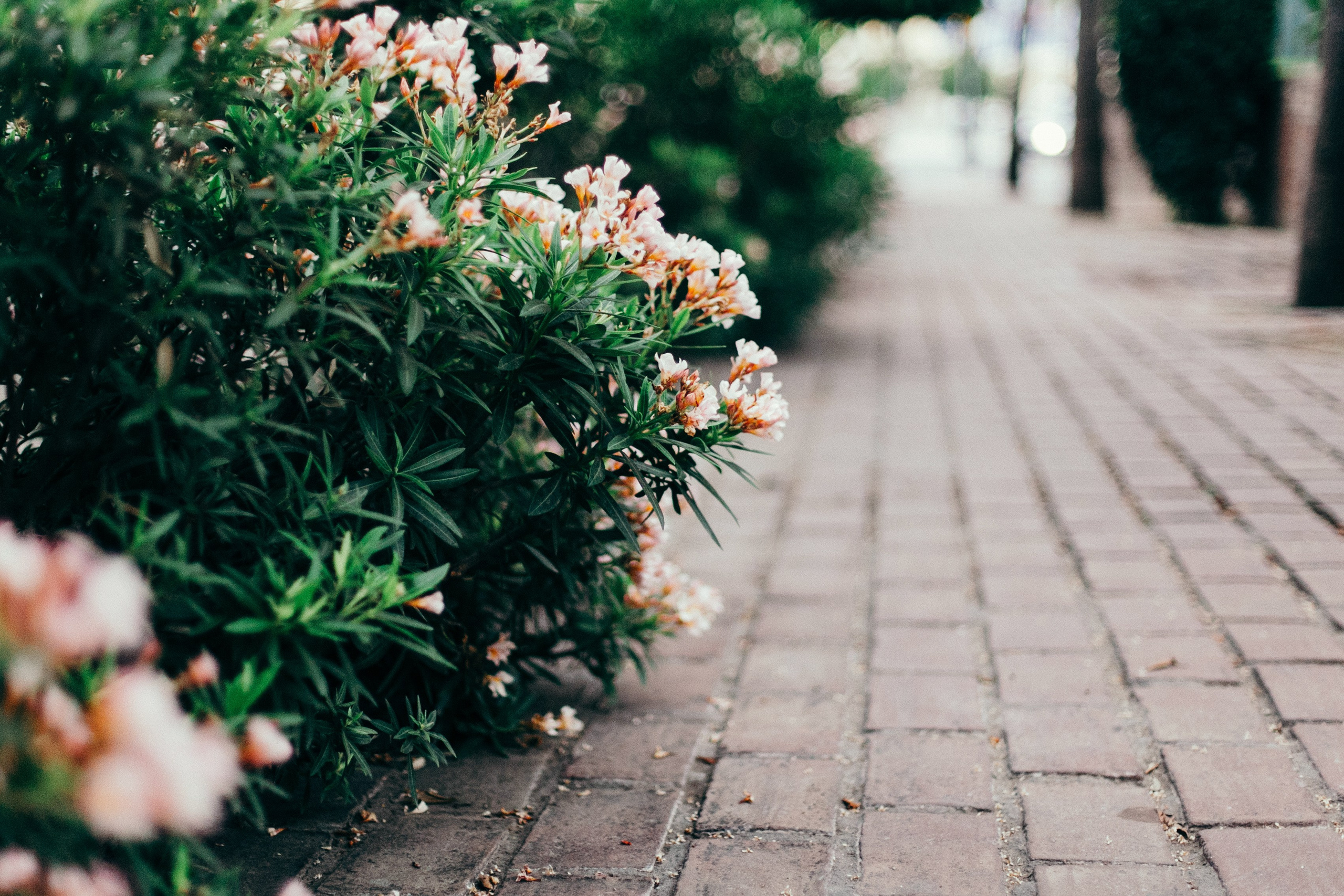 Малага. Аня Степанова