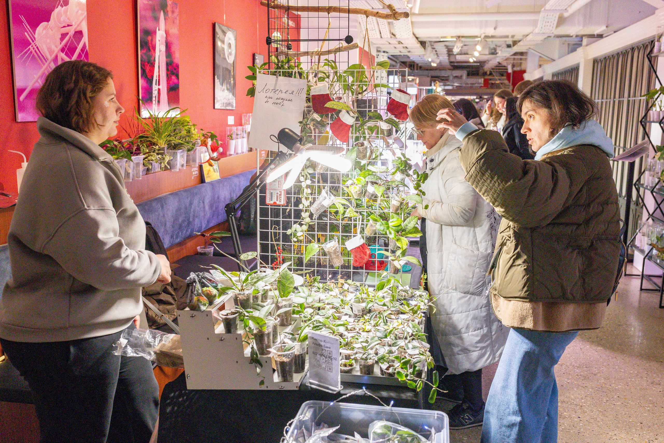 Growbox декабрь 2025. Александра Куликова фотограф, Москва