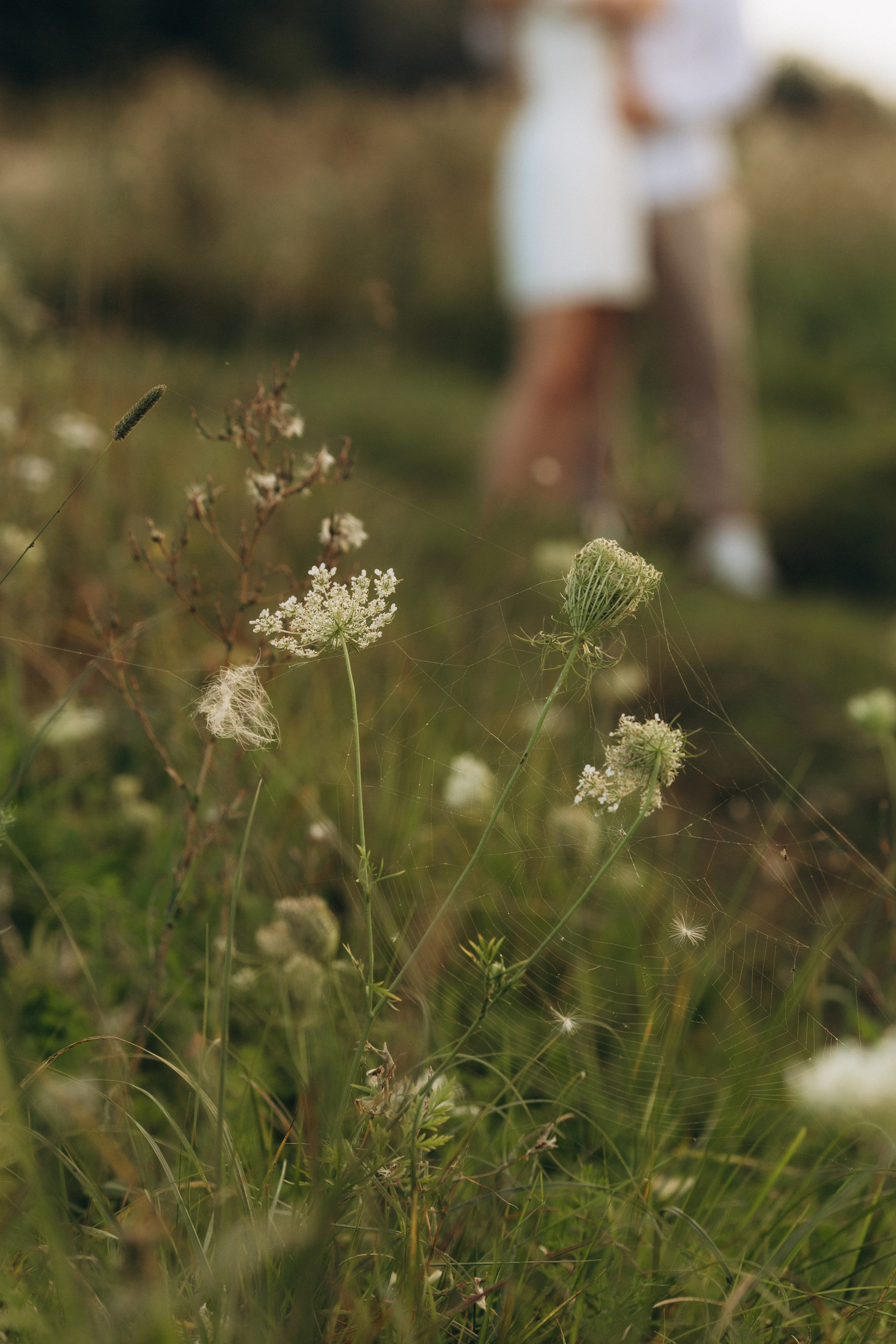 Лиза & Игорь. Семейный и детский фотограф Башкатова Дарья Старый Оскол
