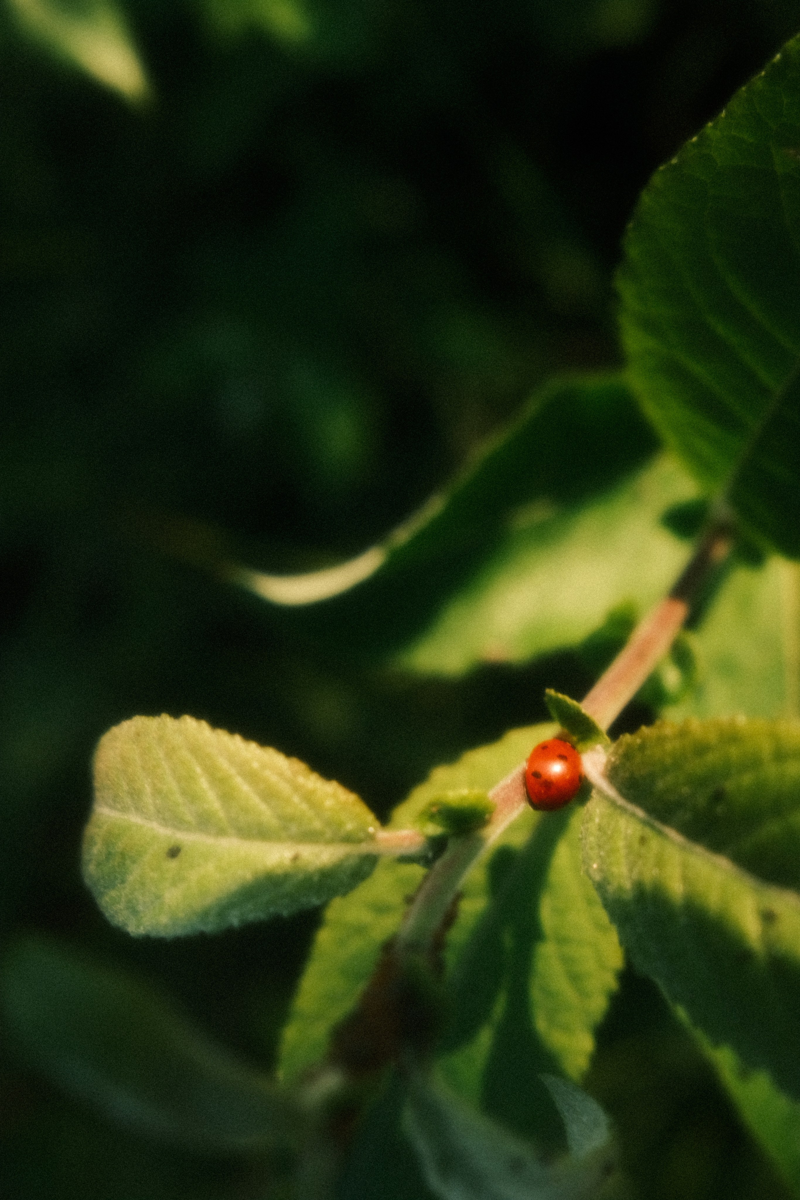 Невесомость. Портретный фотограф