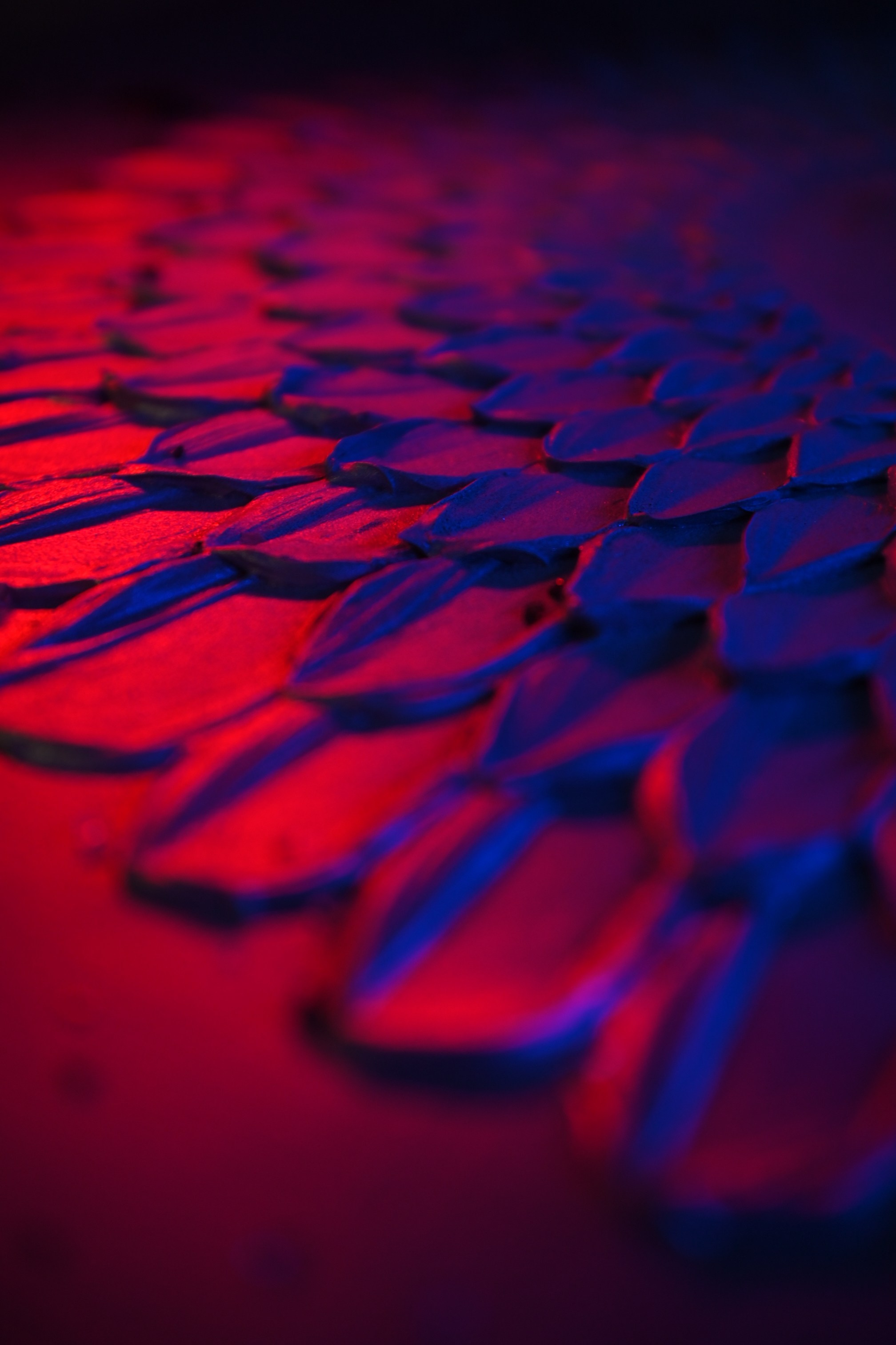 Мои картины. Художник интерьерных картин на заказ в Москве Nadi_Korchagina