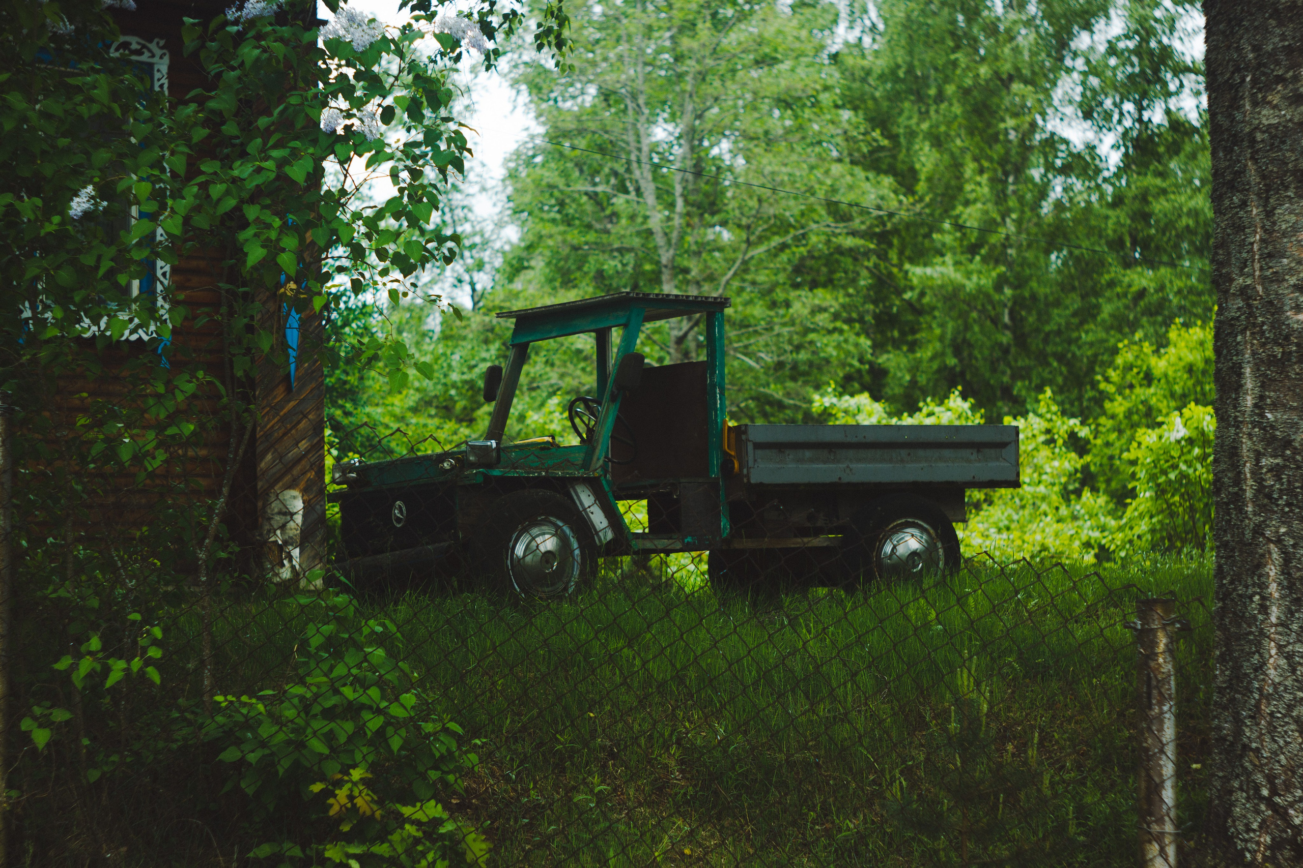 Zarechye. Den Mirov — Photographer, Musician