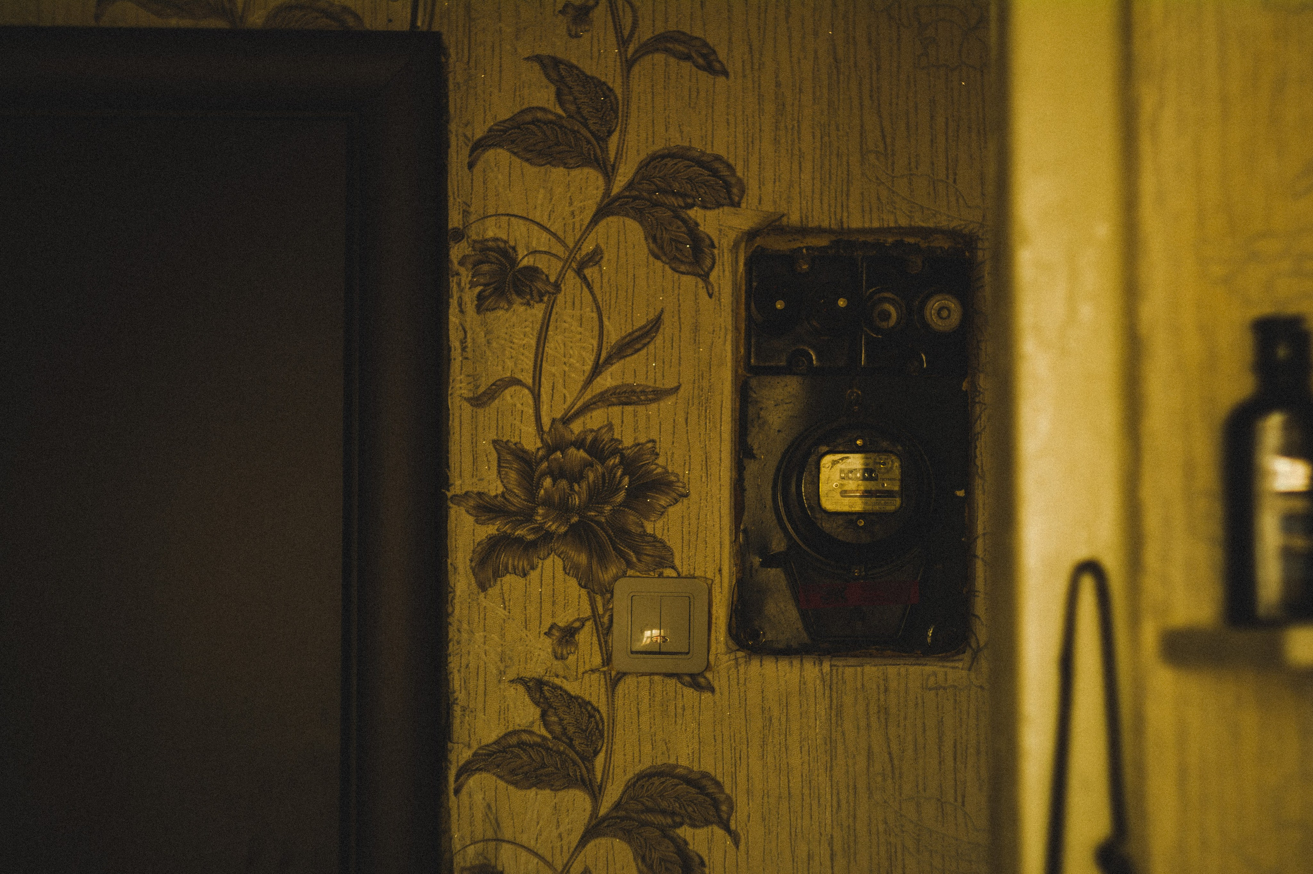 Favorite place. Den Mirov — Photographer, Musician