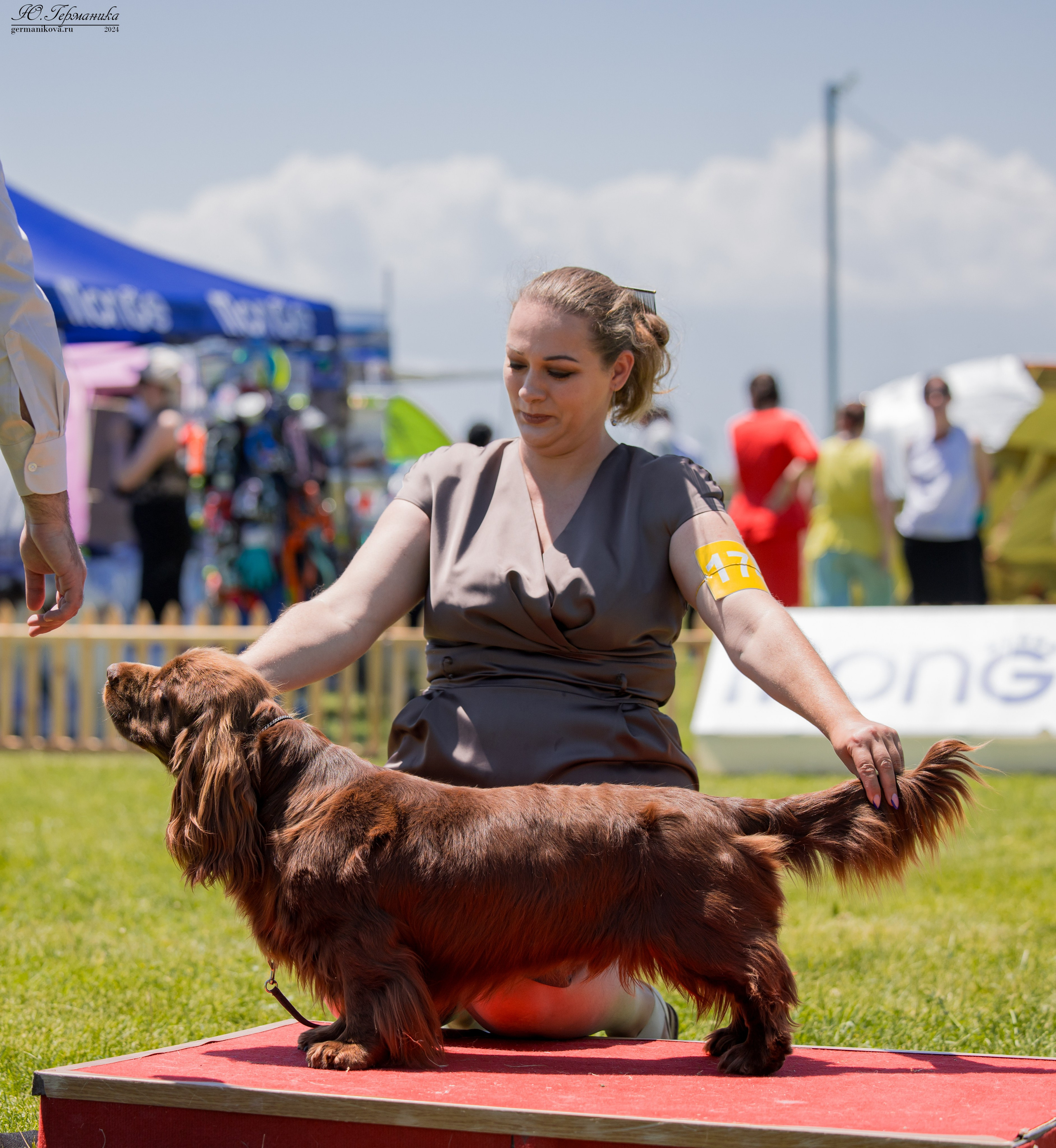 Ереван 3-5.06.2024. Фотограф-анималист Юлия Германика